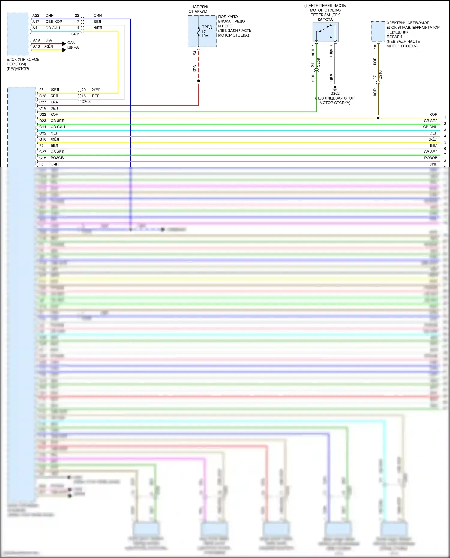 TLX Acura II (2020-2024): Электросхема центрального замка (1 из 6) 