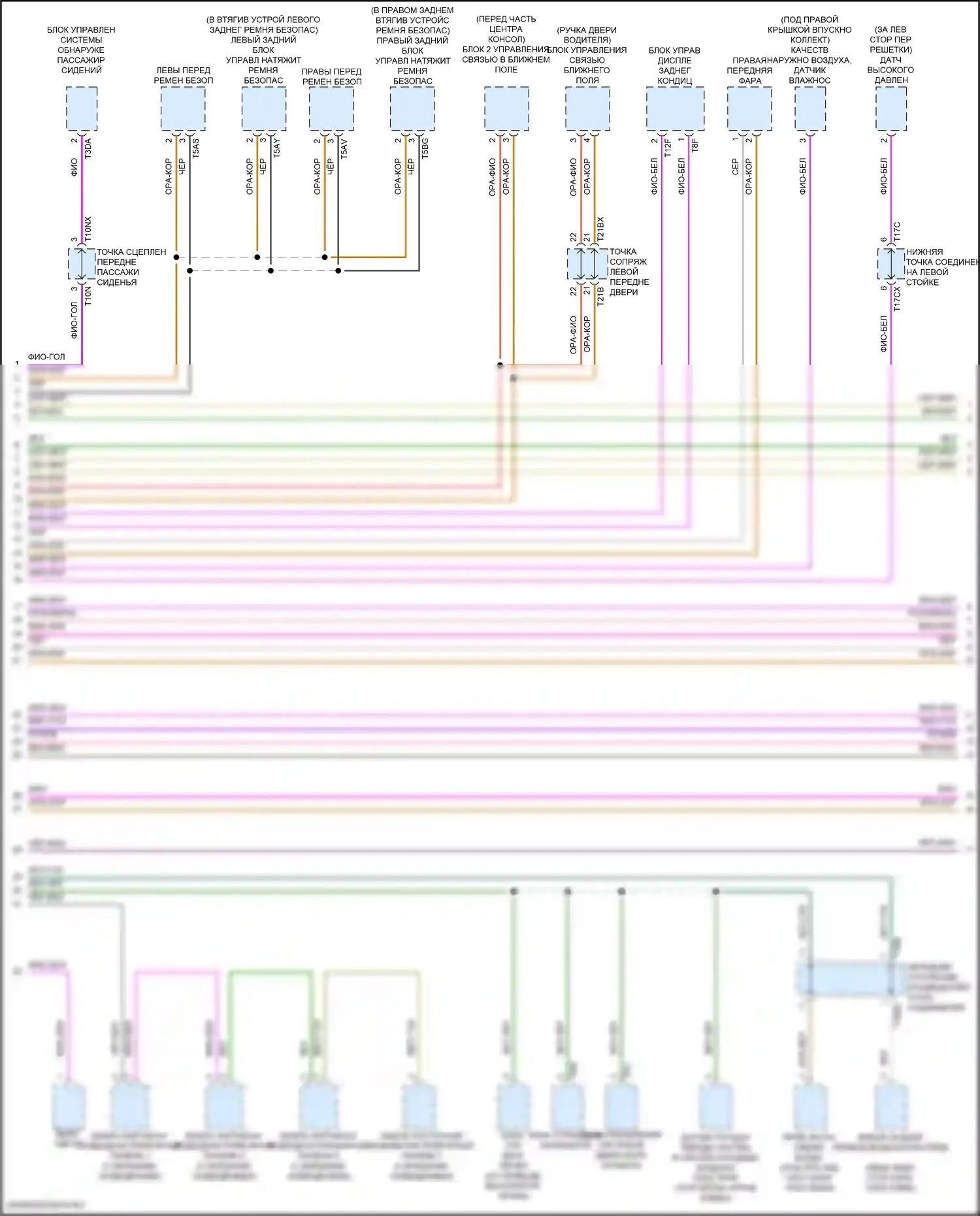 A6 Allroad Quattro Audi C8 (2019-2024): Can шина электросхема (6 из 9) 