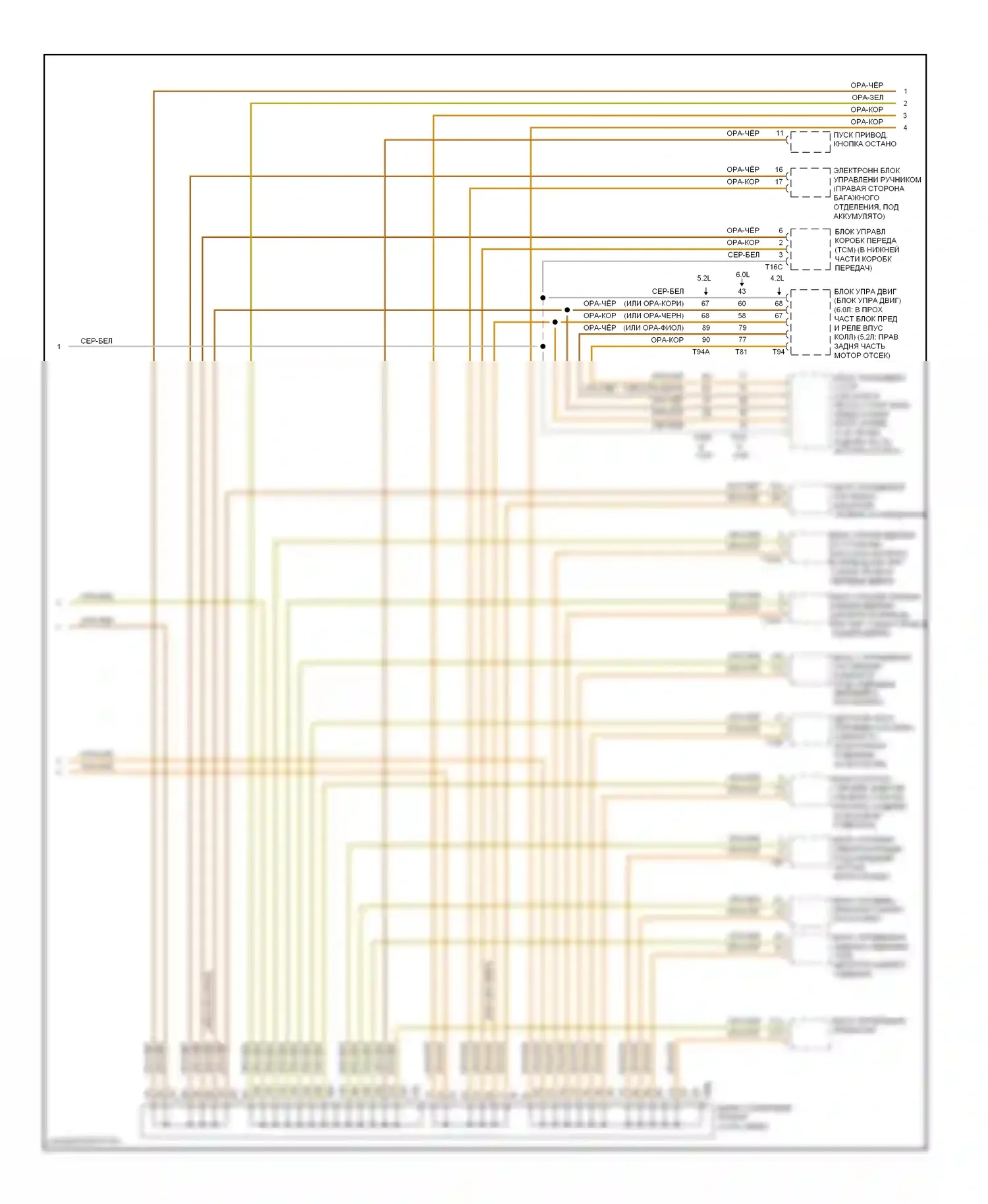 A8 Audi D3 рестайлинг 2 (2007-2010): Can шина электросхема (2 из 3) 