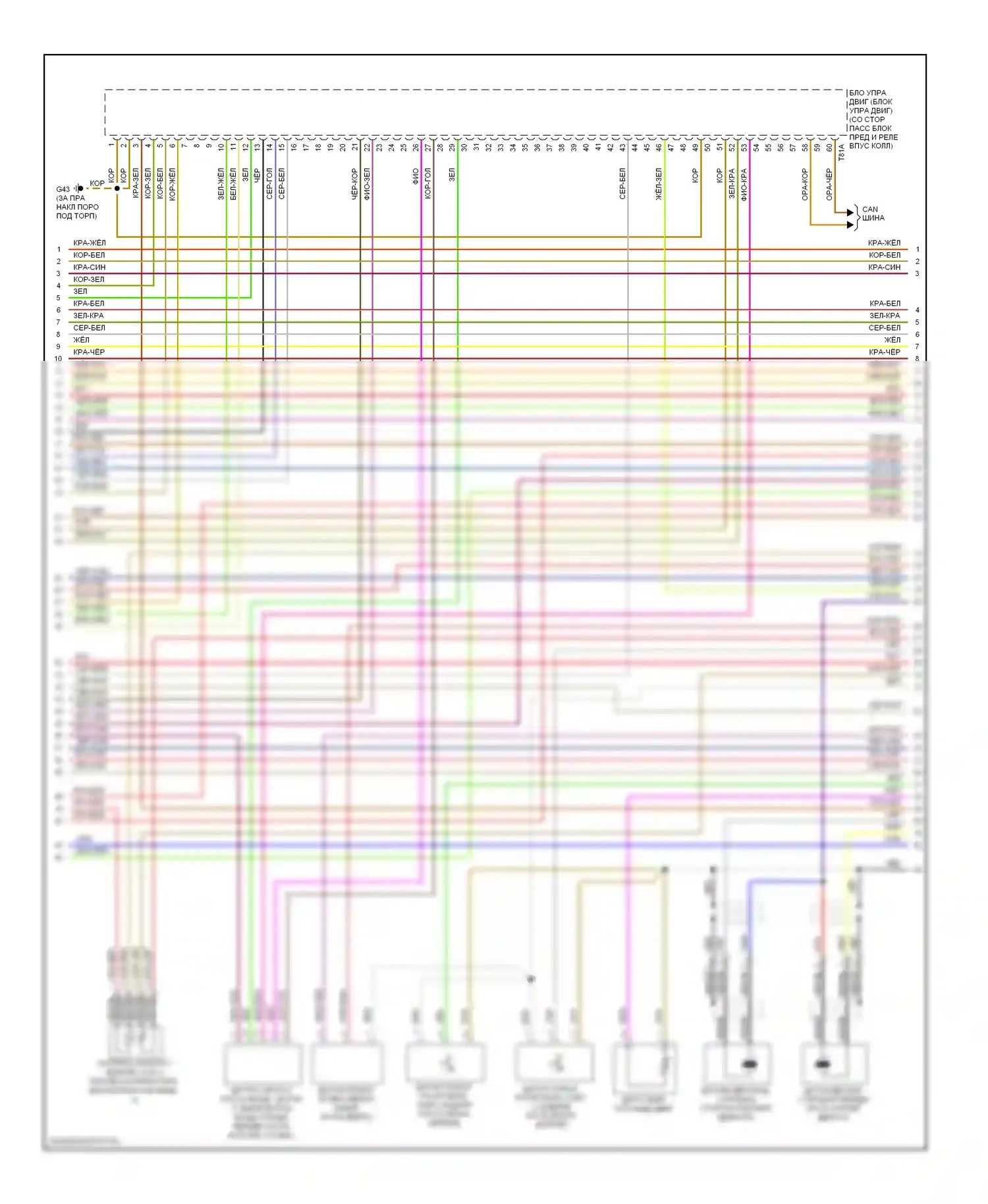 A8 Audi D3 рестайлинг 2 (2007-2010): Электросхема двигателя 6.0l (3 из 7) 