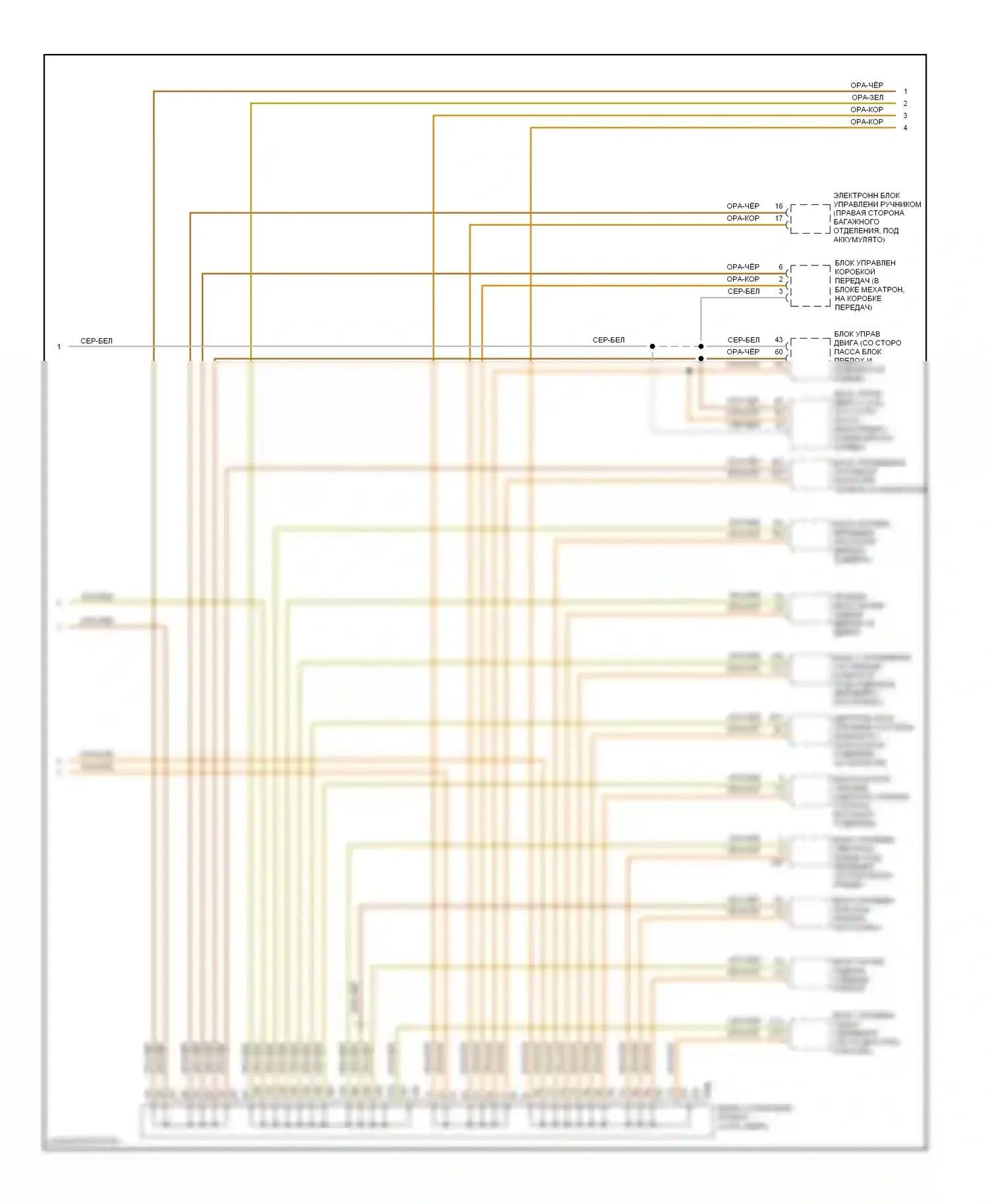 A8 Audi D3 рестайлинг (2005-2007): Can шина электросхема (2 из 3) 
