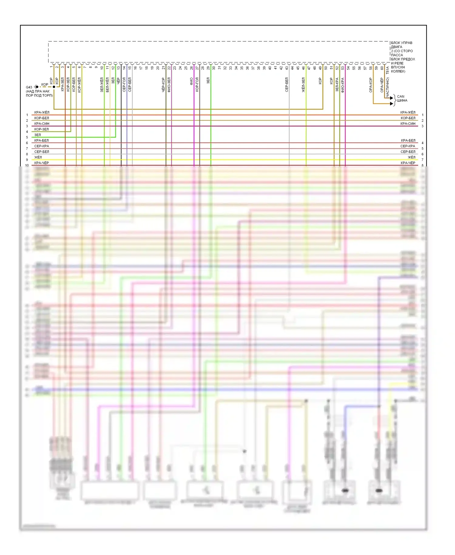 A8 Audi D3 рестайлинг (2005-2007): Электросхема двигателя 6.0l (3 из 7) 