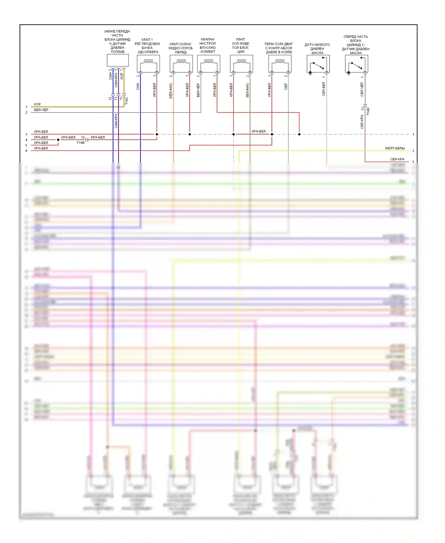 A8 Audi D4 (2010-2014): Электросхема двигателя 4.2l (6 из 7) 