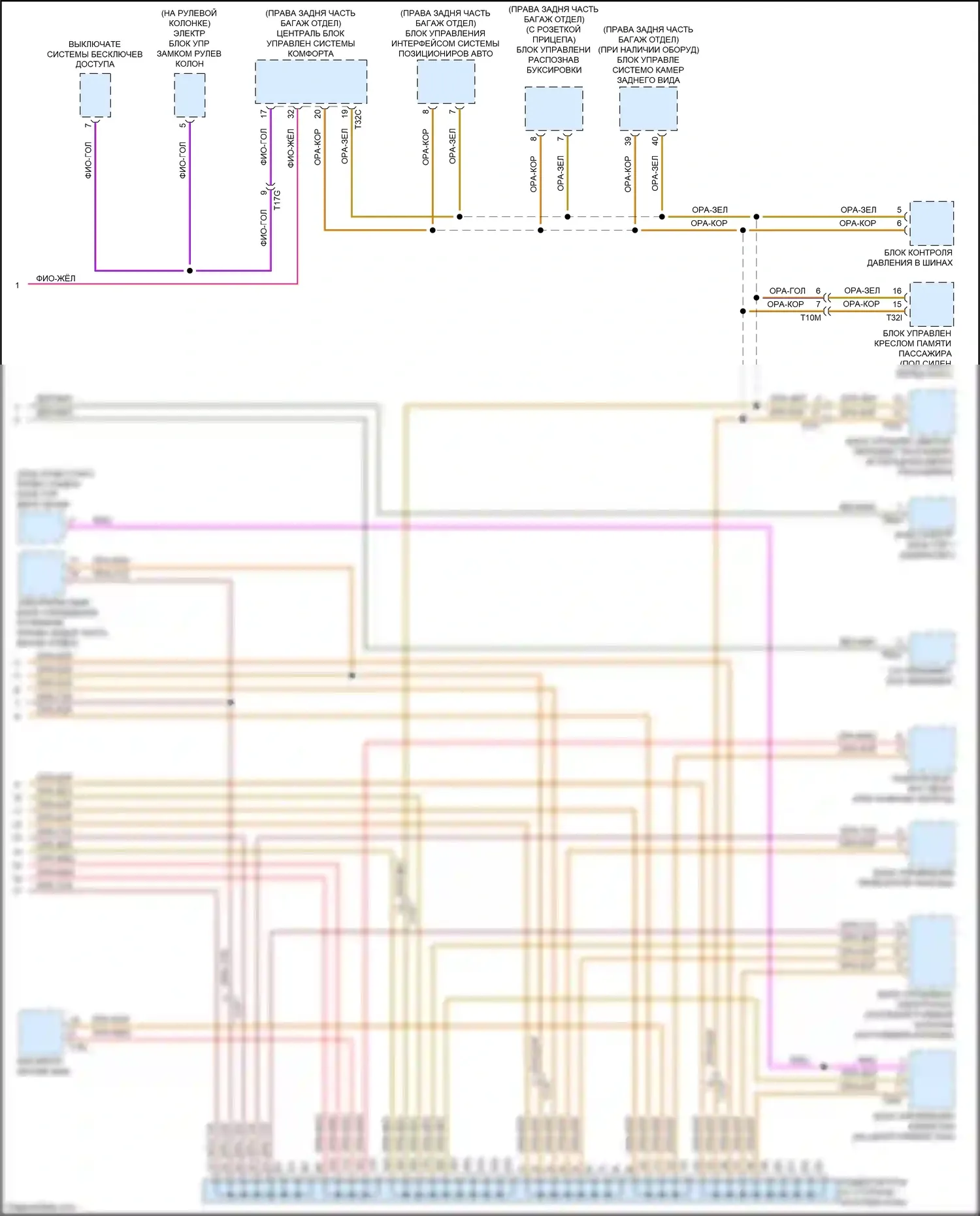 RS5 Audi 8T рестайлинг (2012-2016): Can шина электросхема (3 из 3) 