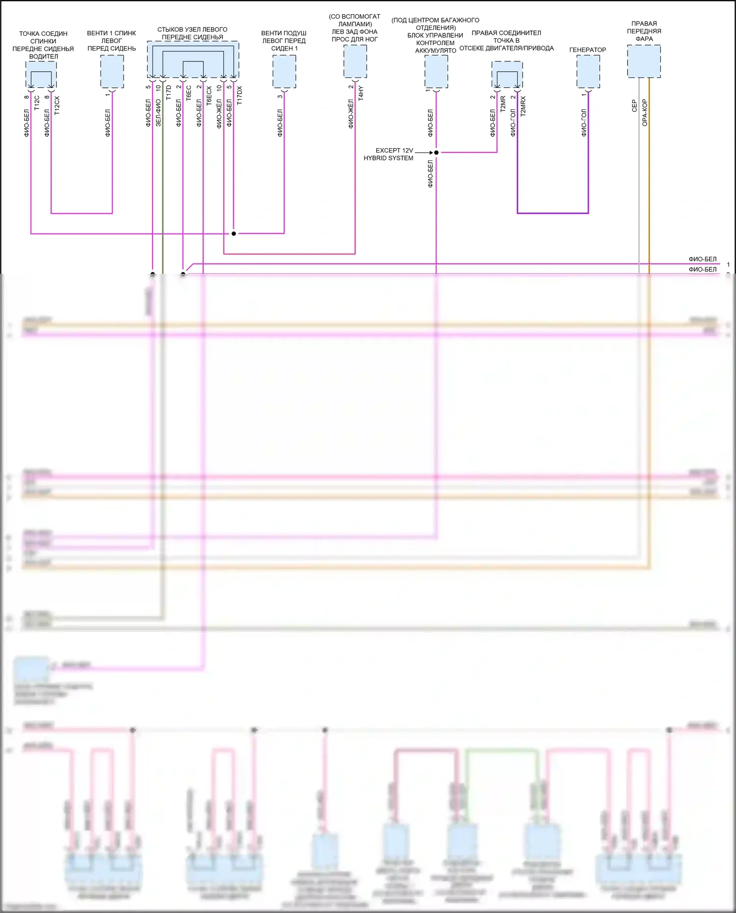 RS5 Audi F5 рестайлинг (2019-2024): Can шина электросхема (5 из 8) 