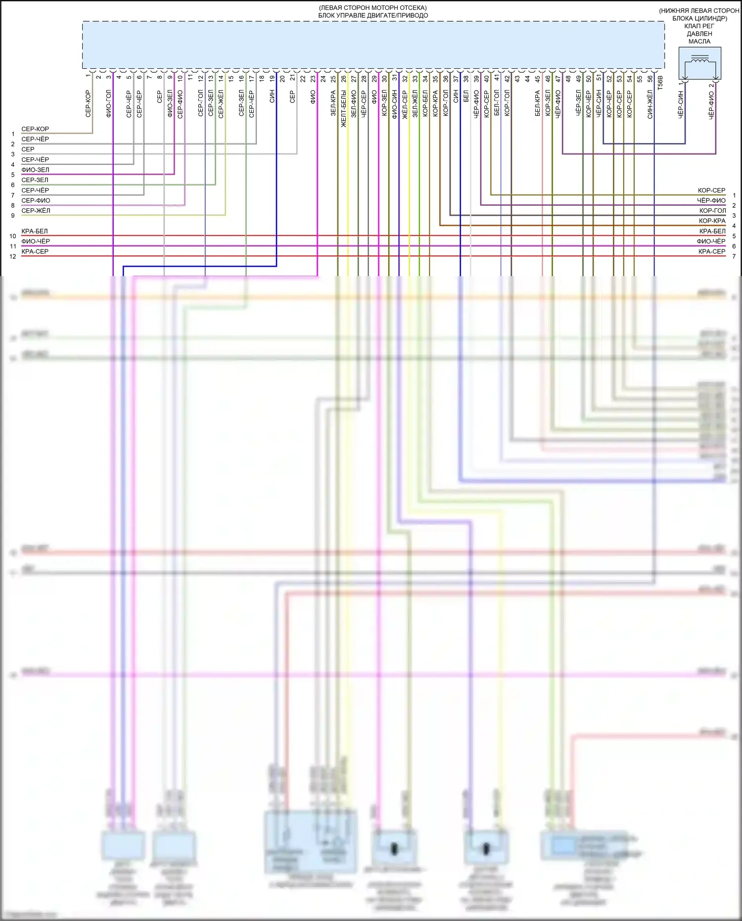 RS5 Audi F5 рестайлинг (2019-2024): Электросхема двигателя 2.9л турбо (4 из 10) 