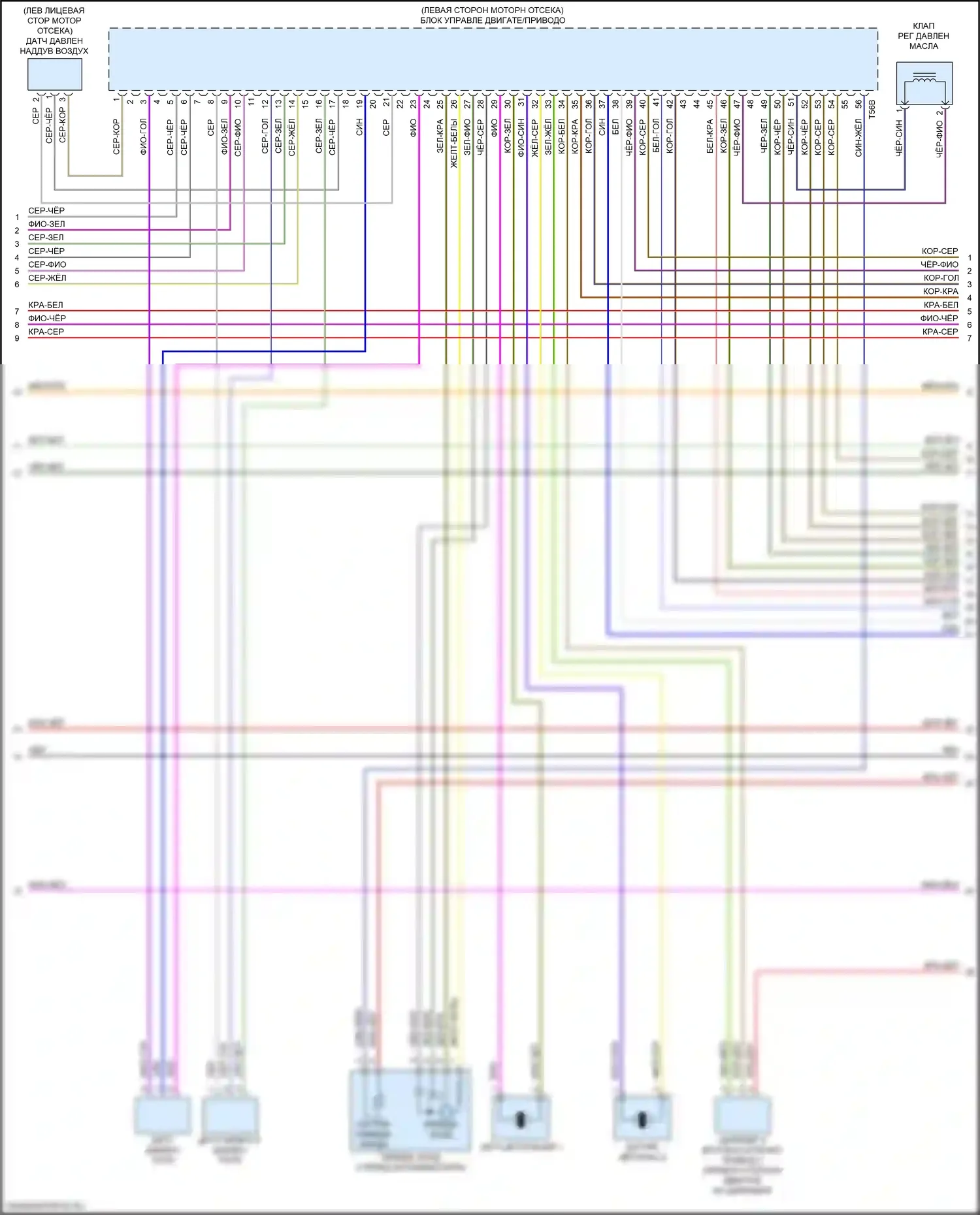 RS5 Audi F5 (2017-2019): Электросхема двигатель 2.9л турбо, электросхема органов управления двигателем (4 из 10) 