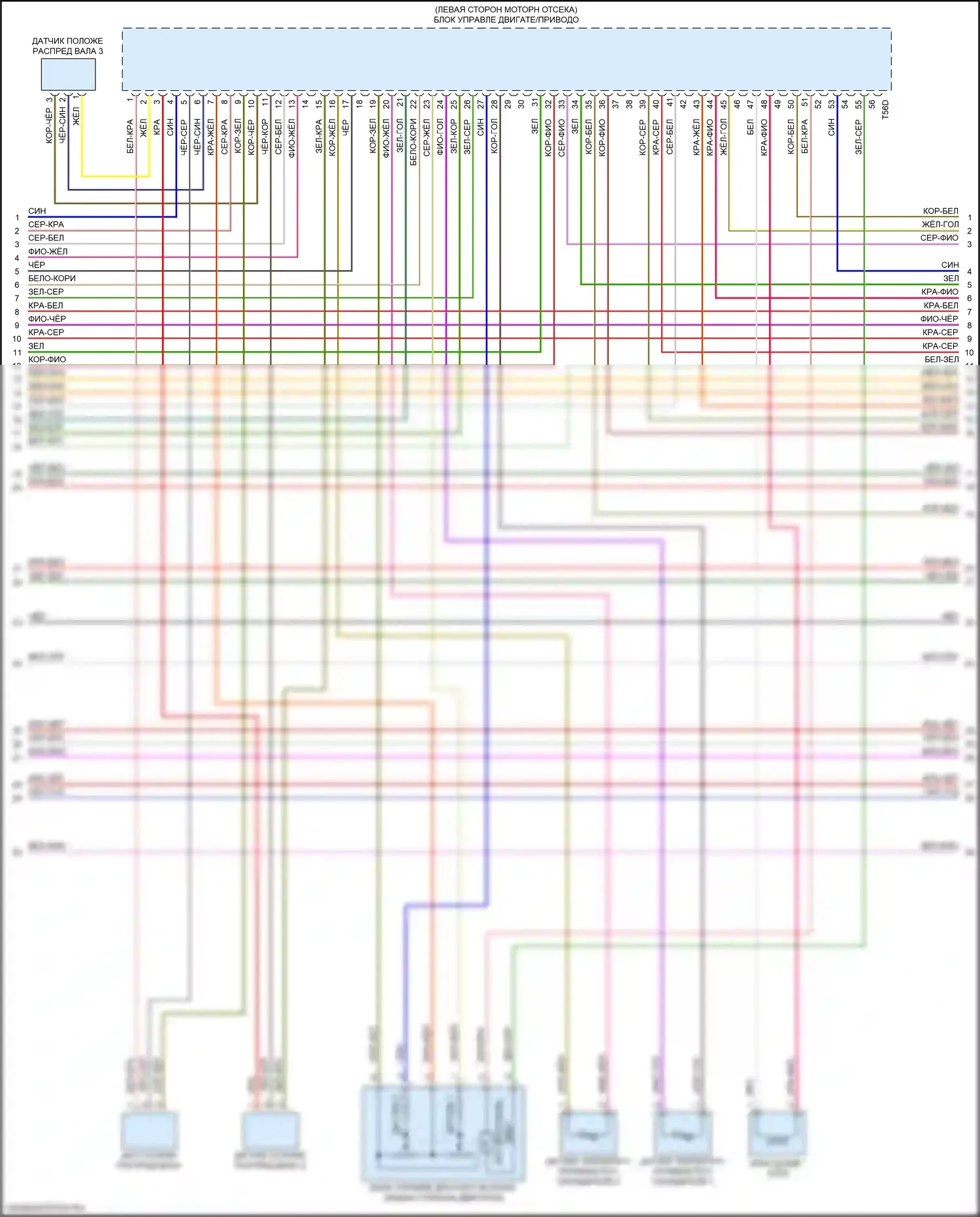 RS5 Audi F5 (2017-2019): Электросхема двигатель 2.9л турбо, электросхема органов управления двигателем (7 из 10) 