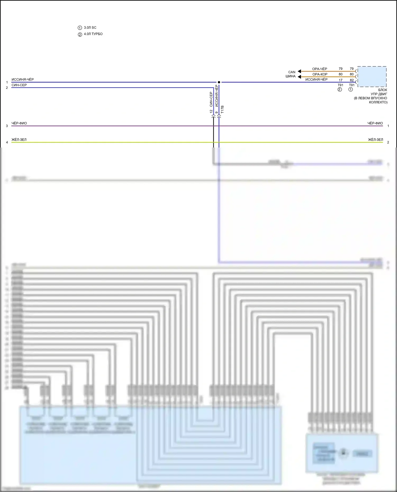 RS7 Audi I рестайлинг (2014-2018): Электросхема автоматической коробки передач (2 из 3) 
