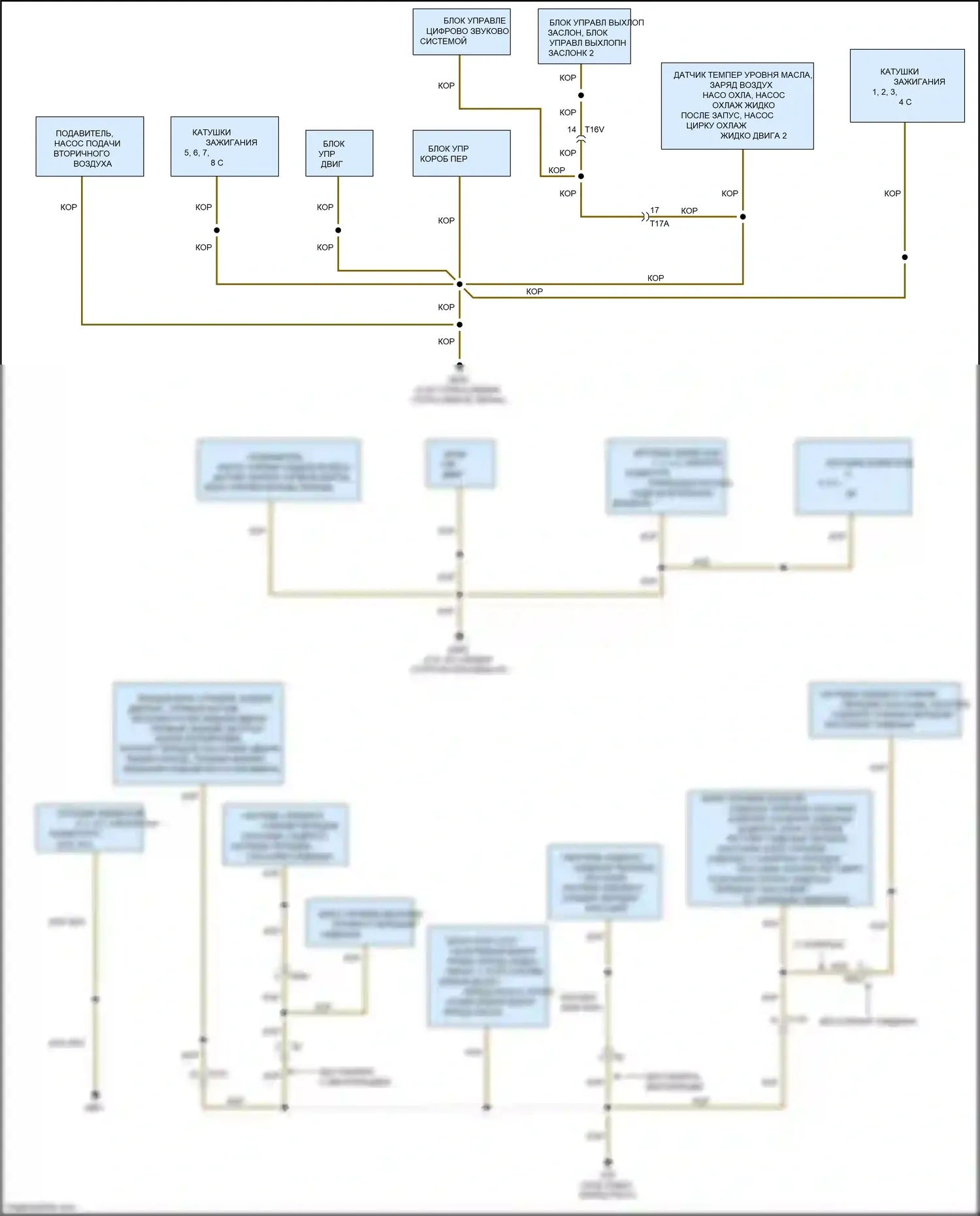 RS7 Audi I рестайлинг (2014-2018): Электросхема точек подключения масс (5 из 5) 