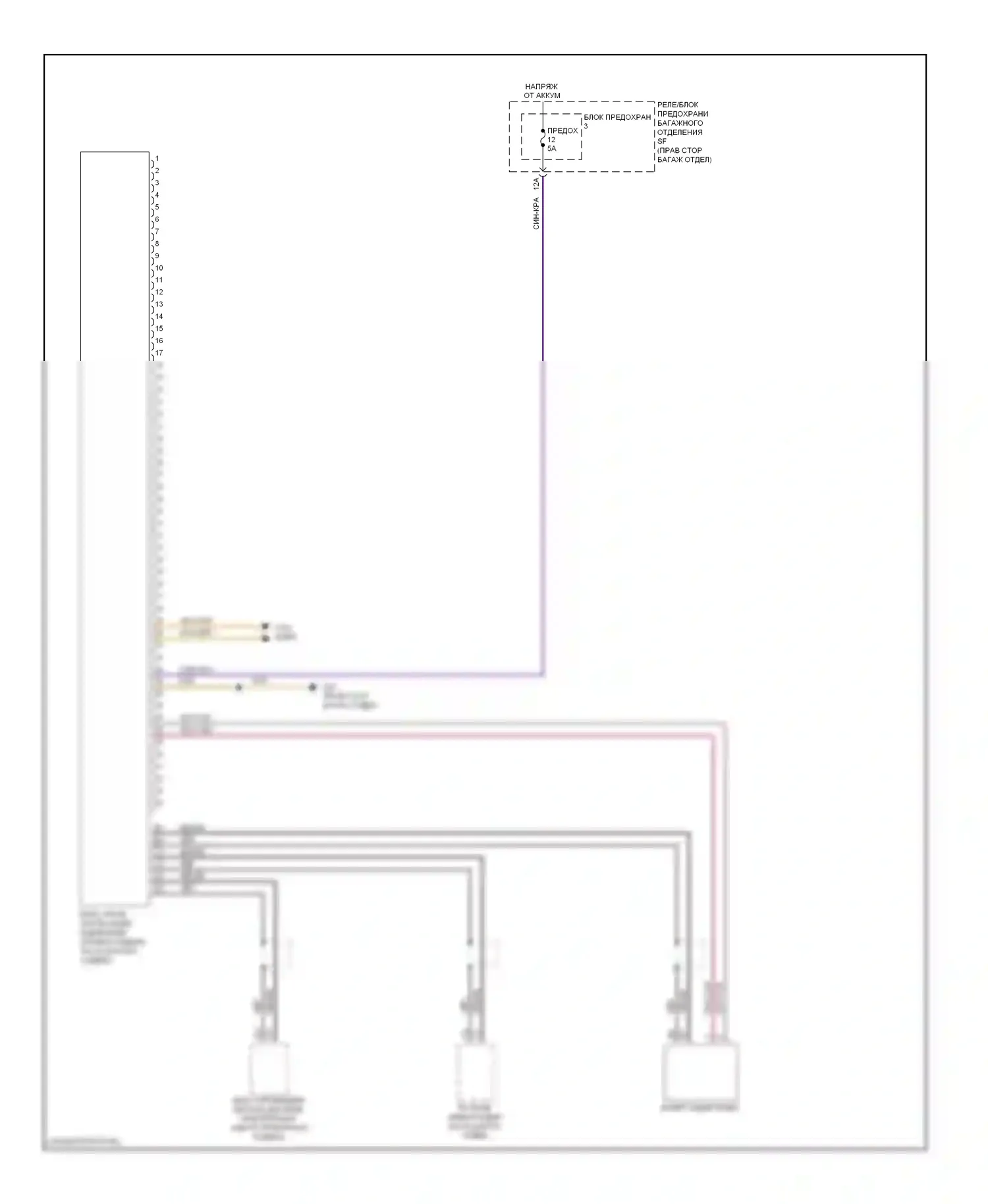 S5 Audi I (2007-2011): Электросхема задней камеры 