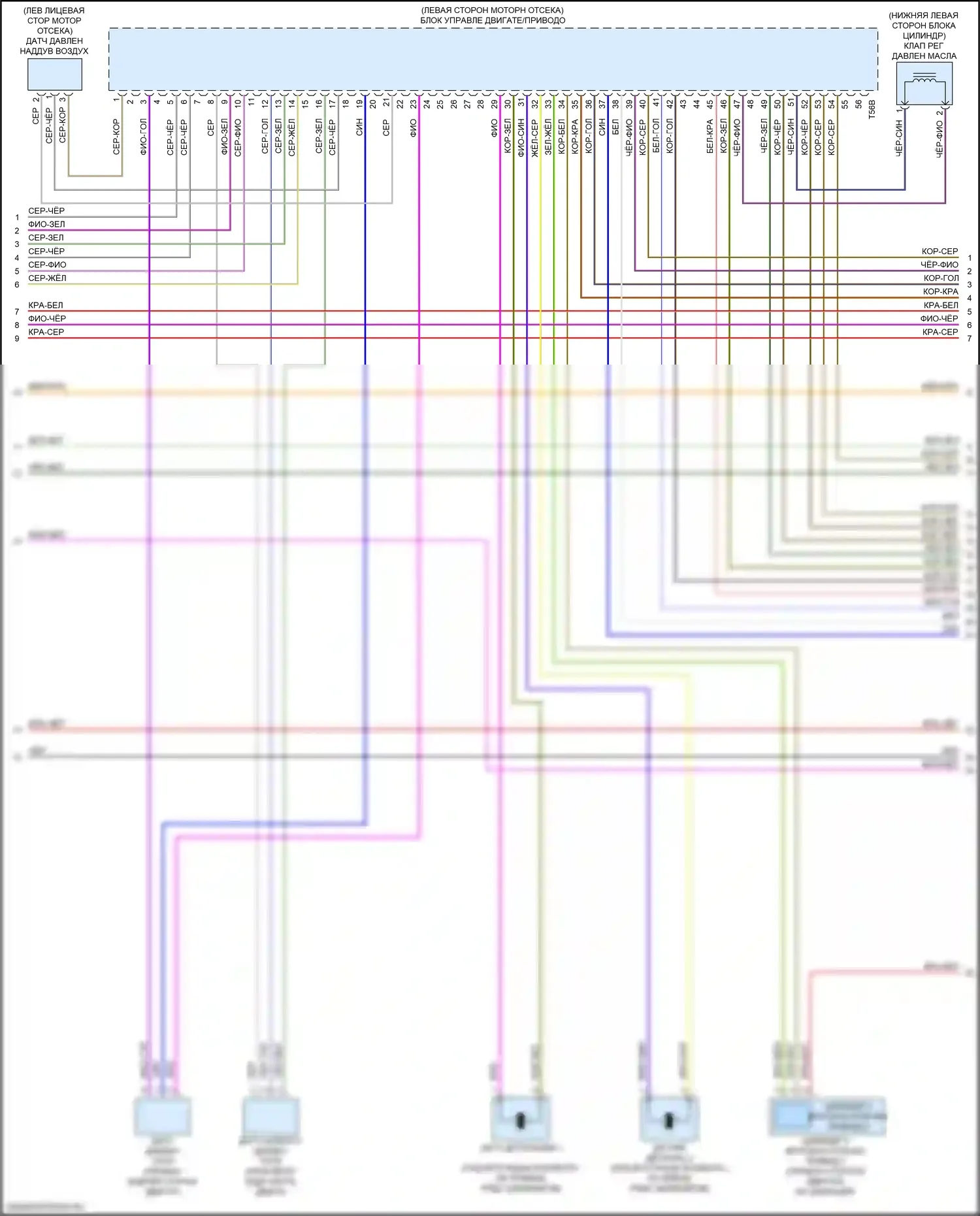 S5 Audi II рестайлинг (2019-2024): Электросхема двигателя 3,0л турбо (4 из 10) 