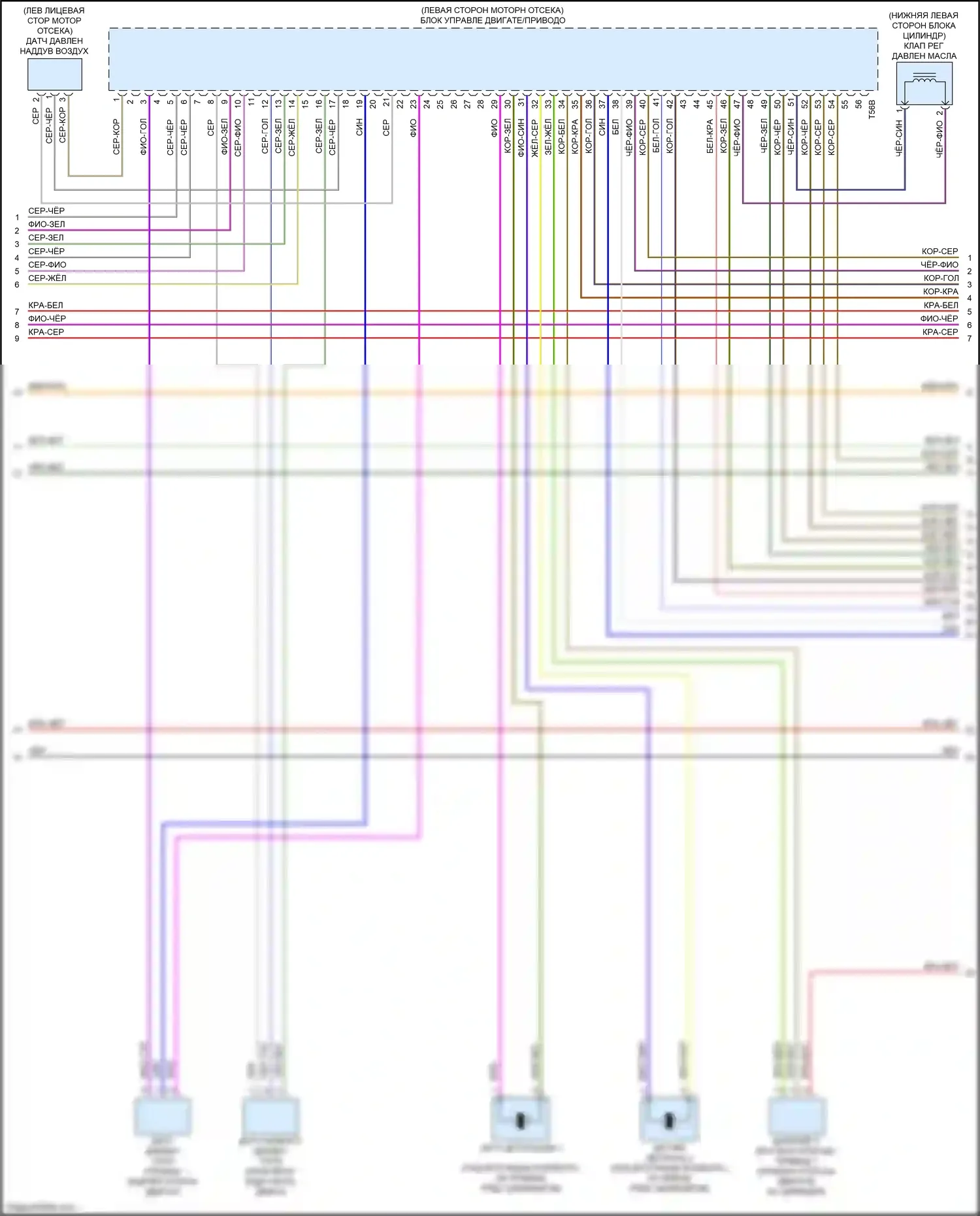 S5 Audi II (2016-2019): Электросхема двигателя 3.0л турбо, электросхема органов управления двигателем (4 из 10) 