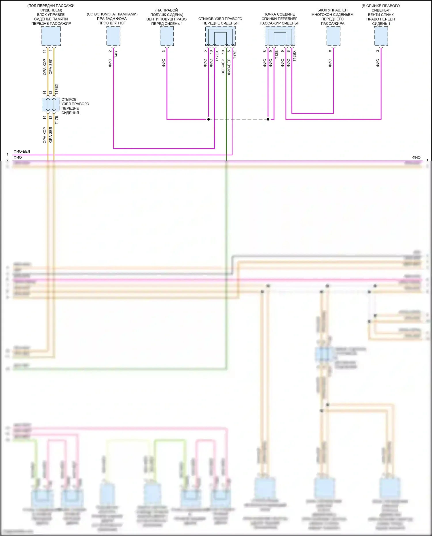 SQ5 Sportback Audi FY (2020-2024): Can шина электросхема (6 из 8) 