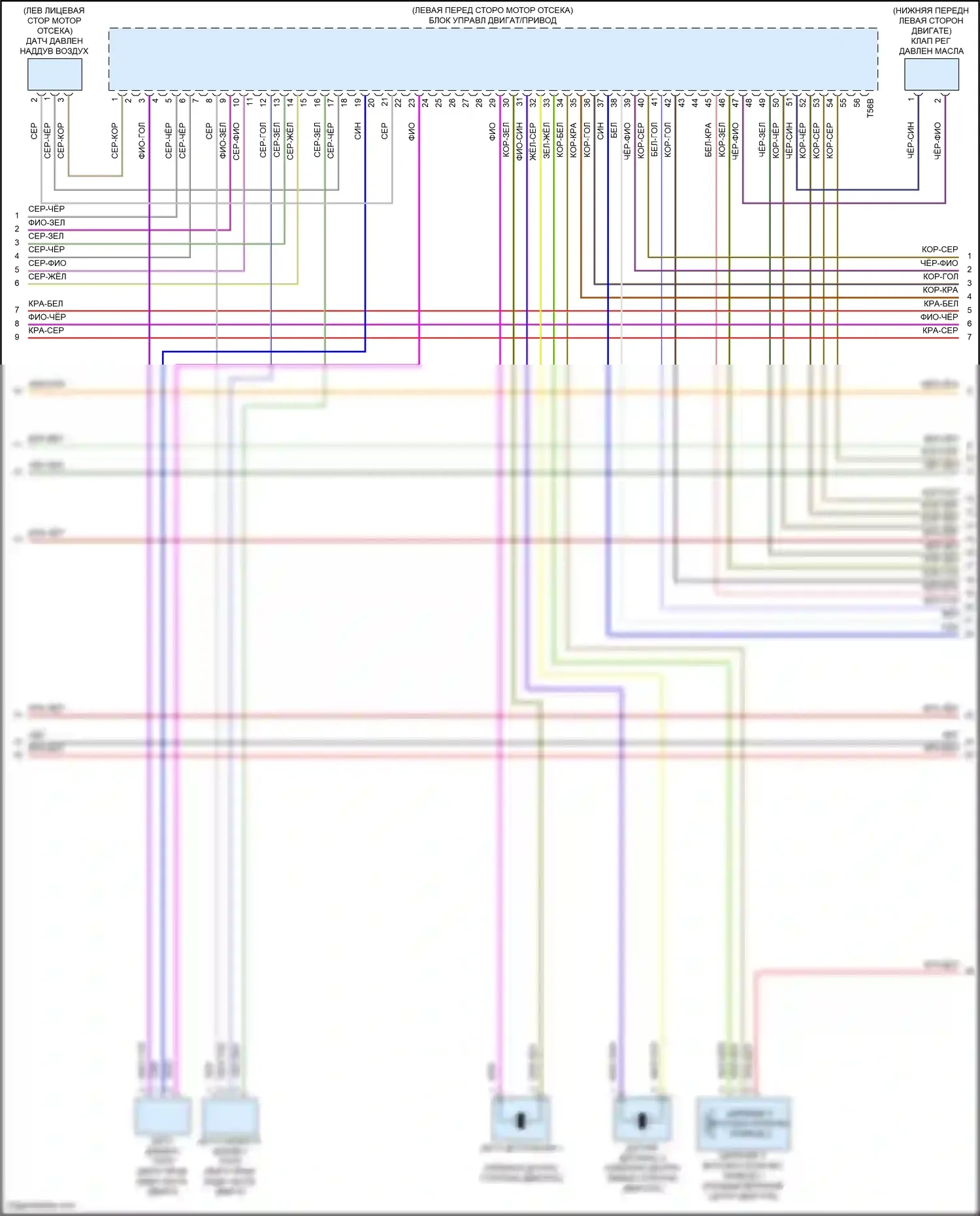 SQ5 Sportback Audi FY (2020-2024): Электросхема двигателя 3,0л турбо (4 из 10) 