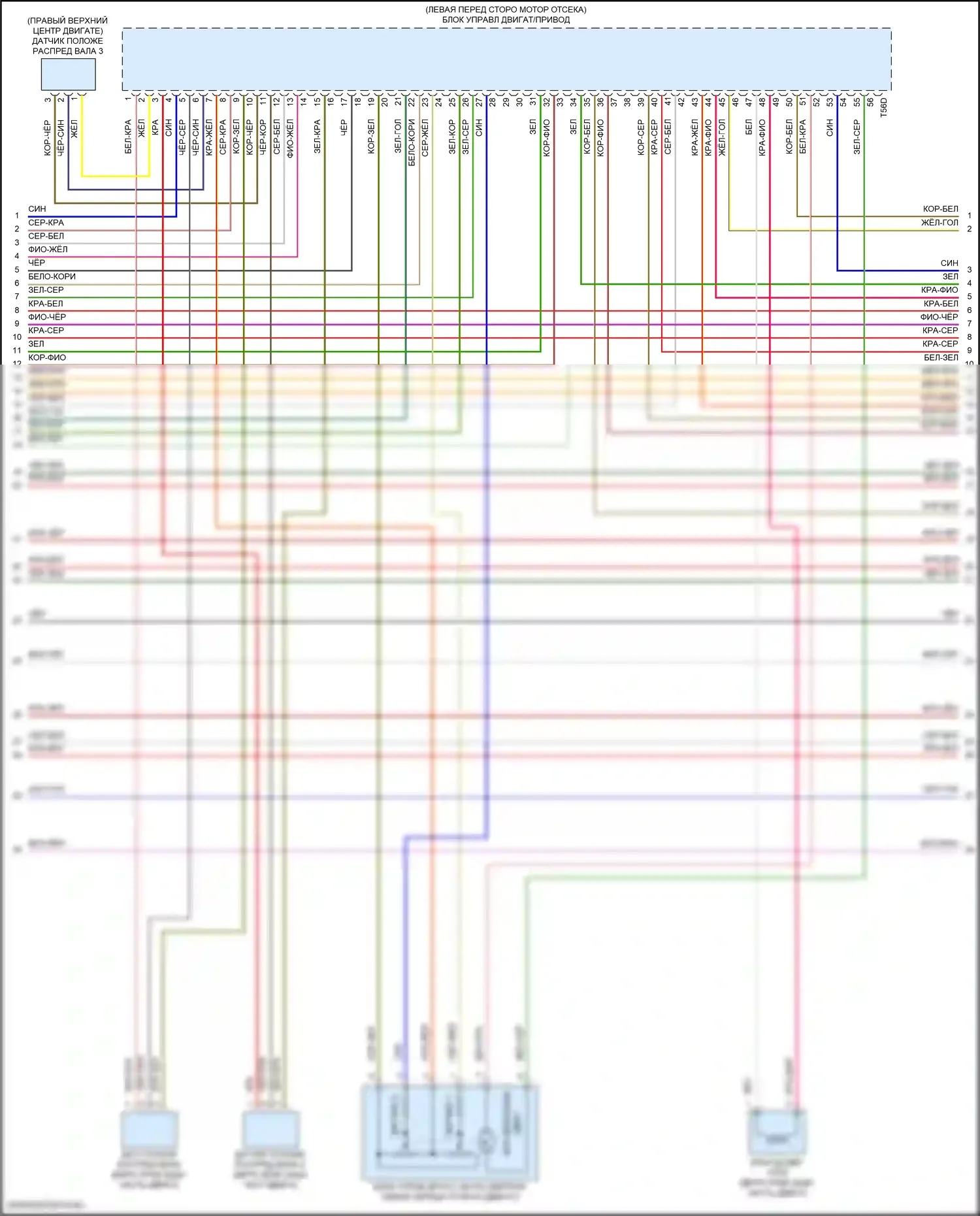 SQ5 Audi II рестайлинг (2020-2024): Электросхема двигателя 3,0л турбо (7 из 10) 