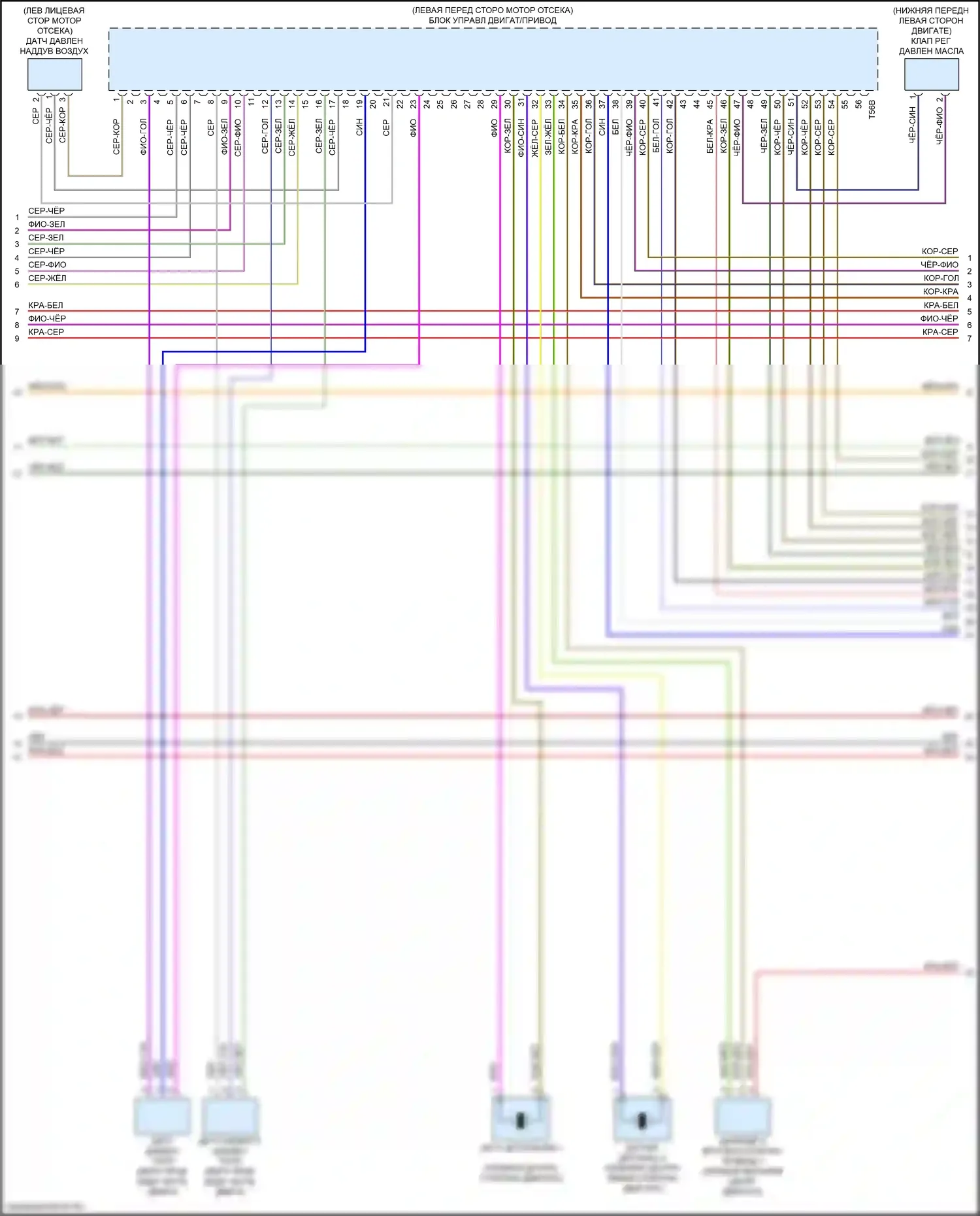 SQ5 Audi II (2017-2020): Электросхема двигателя 3.0л турбо, электросхема органов управления двигателем (4 из 10) 