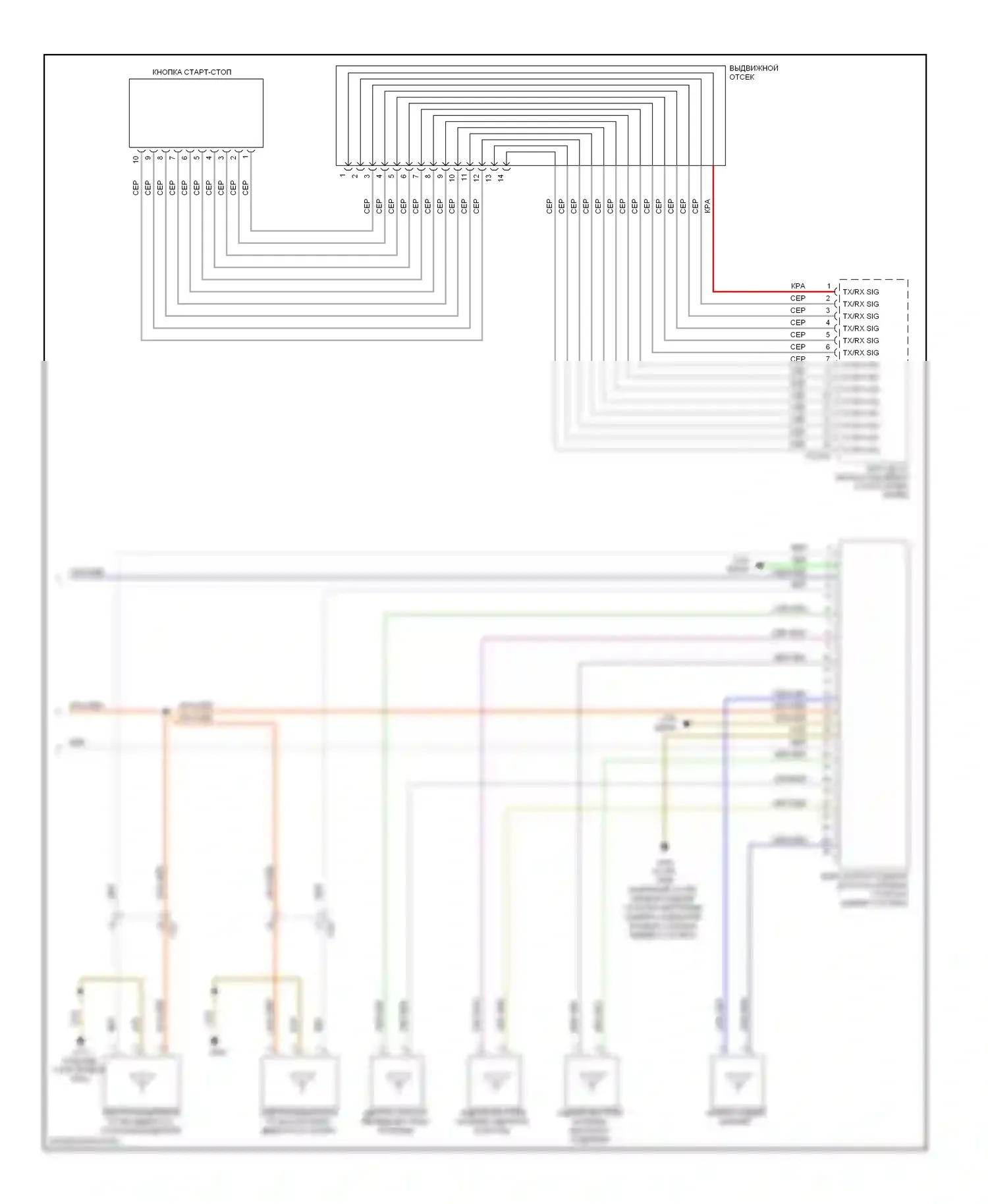 1 серия BMW F20/F21 (2011-2015): Электросхема системы бесключевого доступа (2 из 2) 