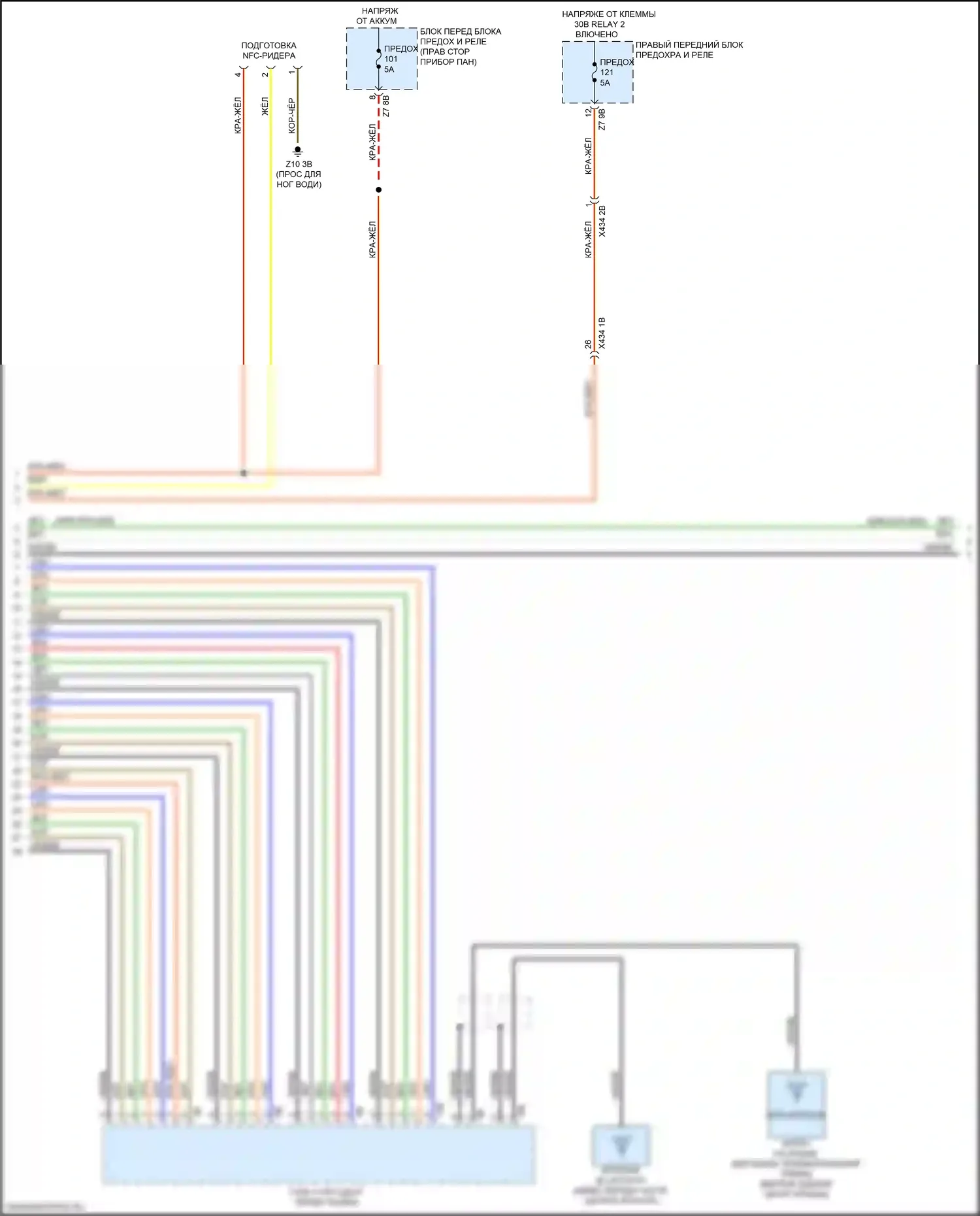 2 серия Gran Coupe BMW F44 (2019-2024): Электросхема аудиоблока приемника, базовая (5 из 6) 