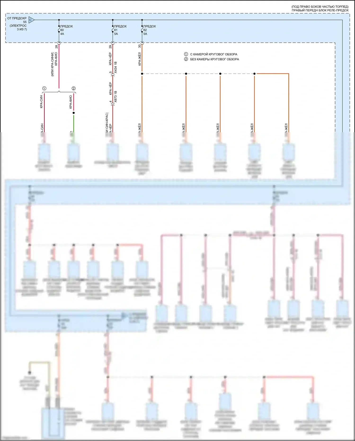 2 серия BMW G42 (2021-2024): Электросхема блока предохранителей реле (4 из 7) 