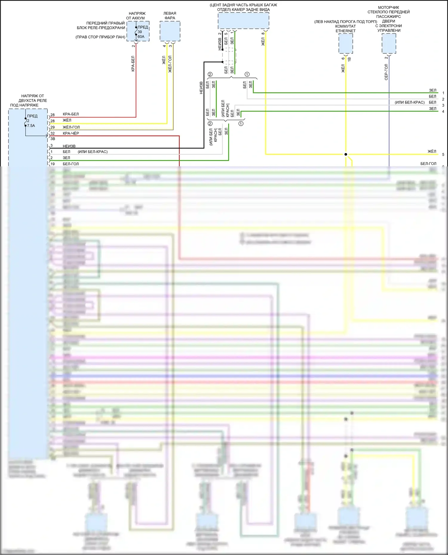 2 серия BMW G42 (2021-2024): Can шина электросхема (1 из 7) 