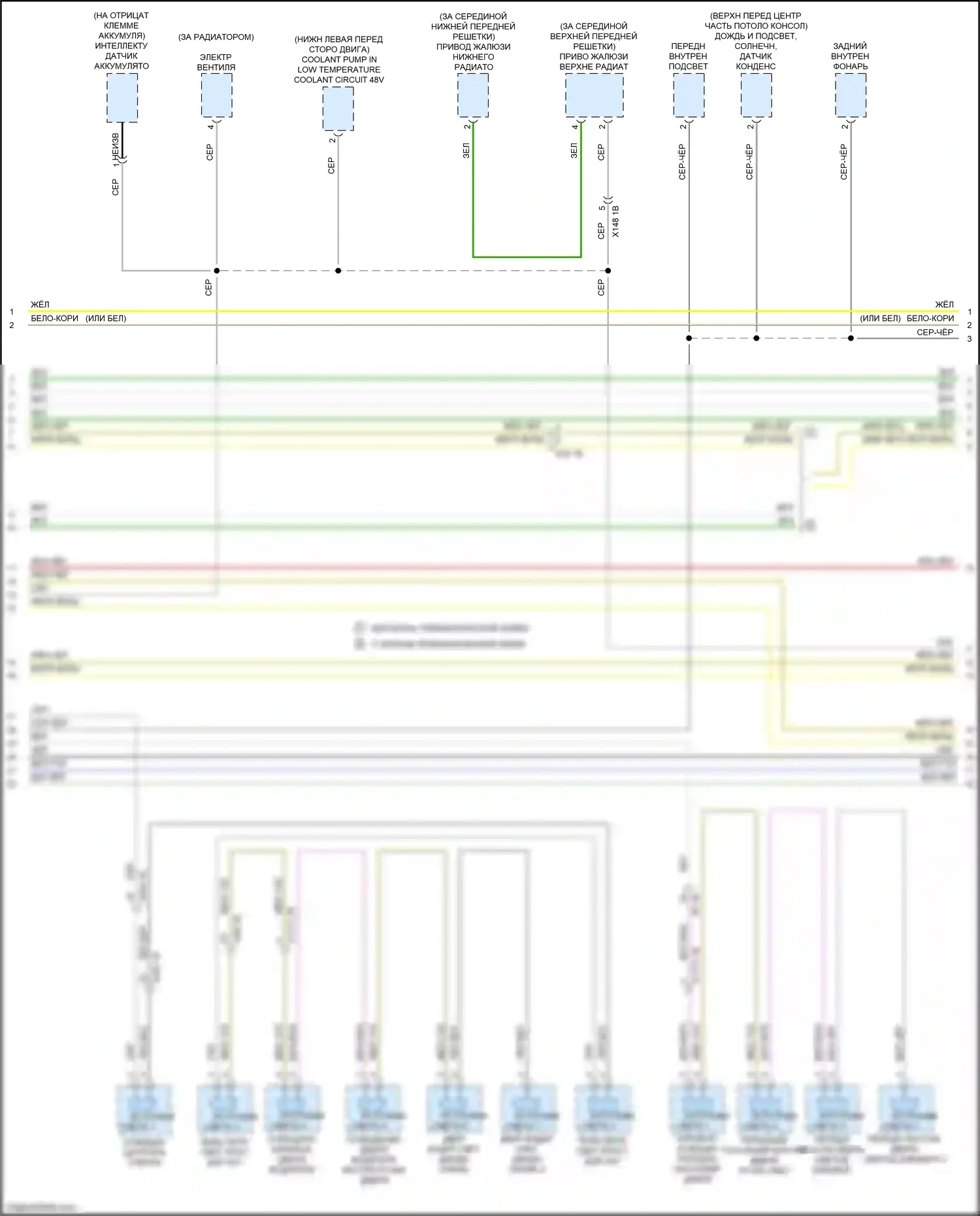 2 серия BMW G42 (2021-2024): Can шина электросхема (6 из 7) 