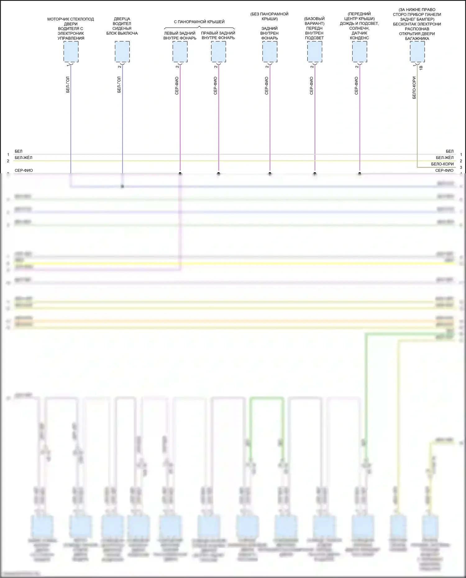 5 серия BMW G30/G31 рестайлинг (2020-2024): Электросхема шины высокого/низкого уровня (8 из 9) 