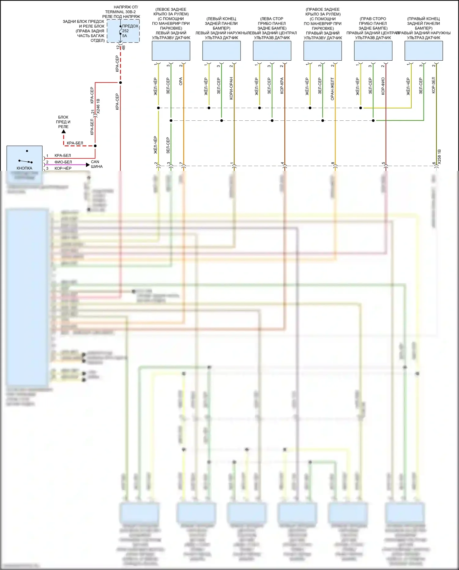 5 серия BMW G30/G31 рестайлинг (2020-2024): Электросхема парктроника, базовая 