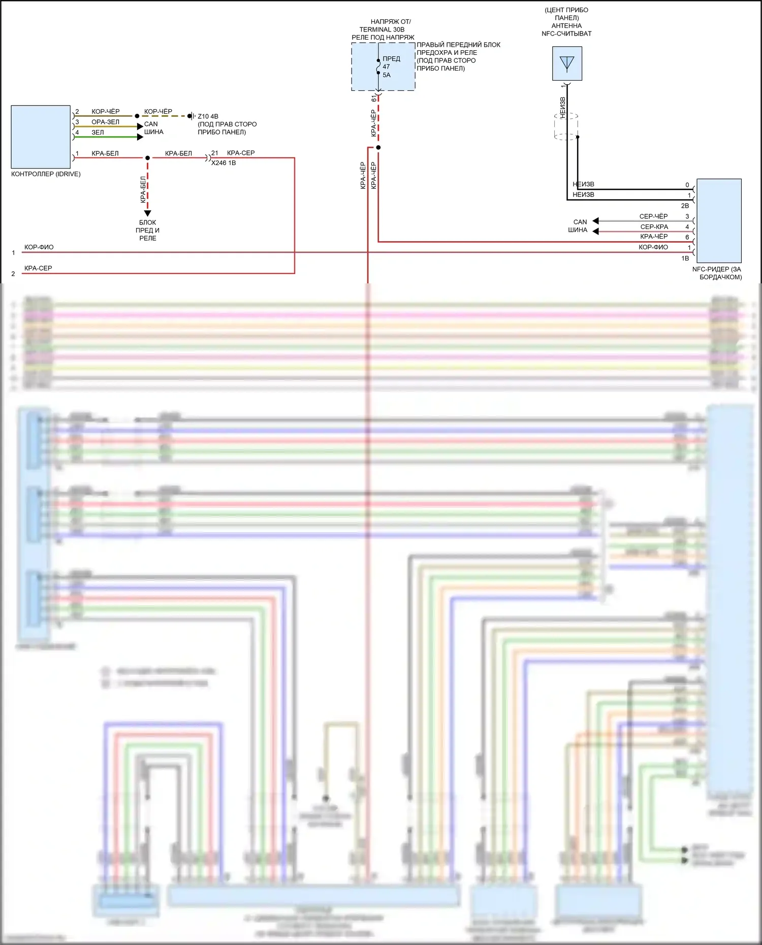 5 серия BMW G30/G31 (2016-2020): Hifi электросхема магнитолы, без активного звукового оформления (3 из 4) 