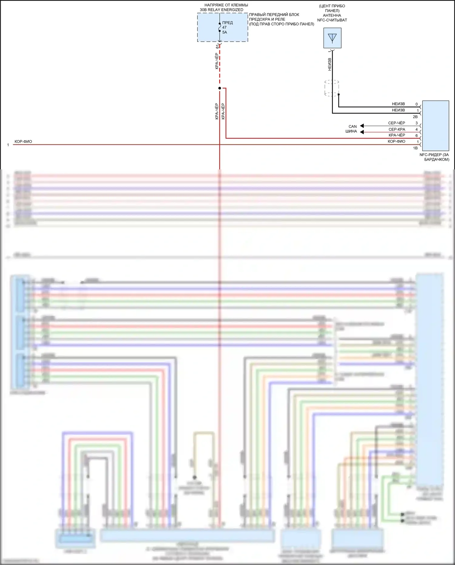 5 серия BMW G30/G31 (2016-2020): Hifi электросхема магнитолы, с активным звуковым оформлением (3 из 5) 