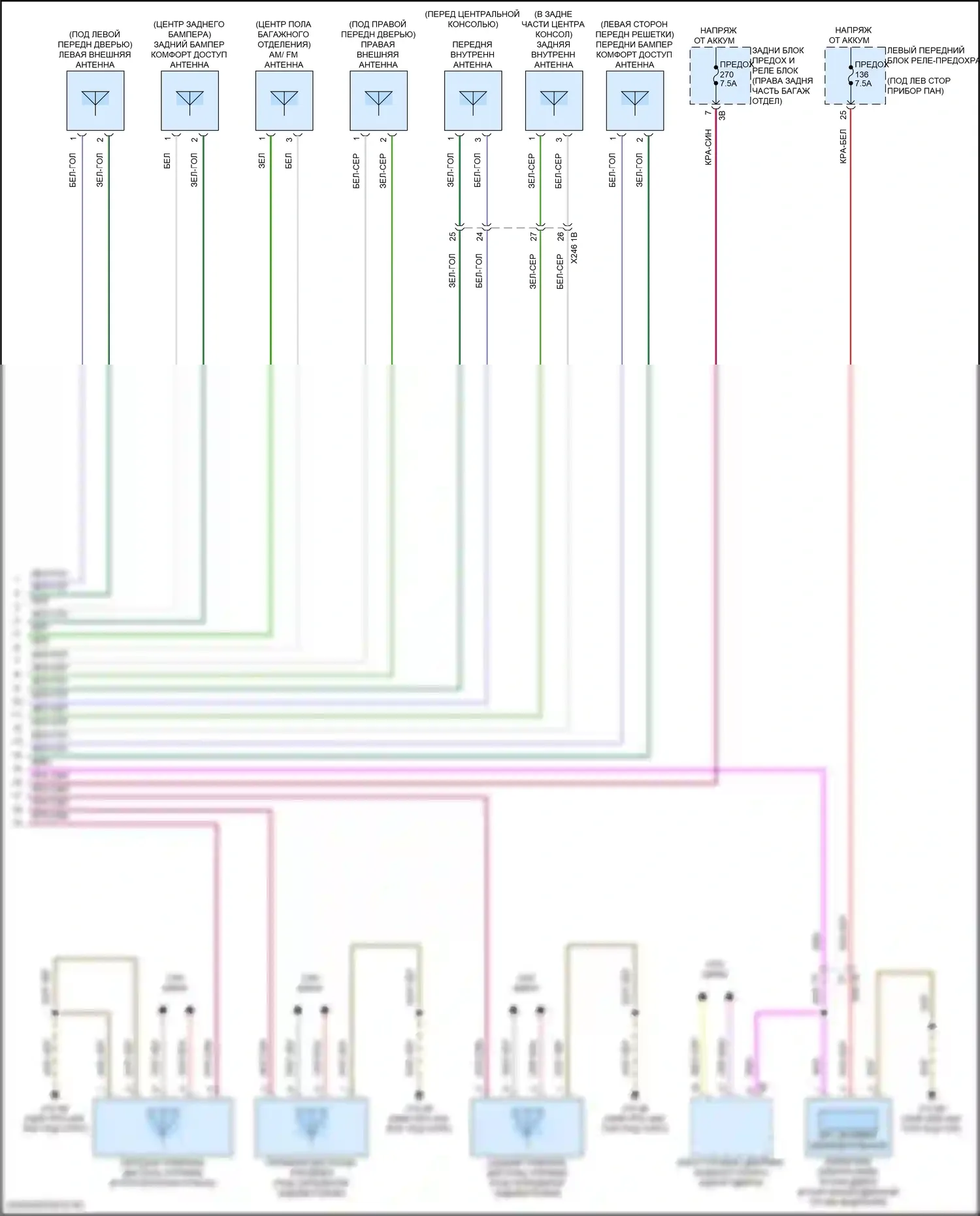 5 серия BMW G60 (2023-2024): Электросхема системы бесключевого доступа (2 из 2) 