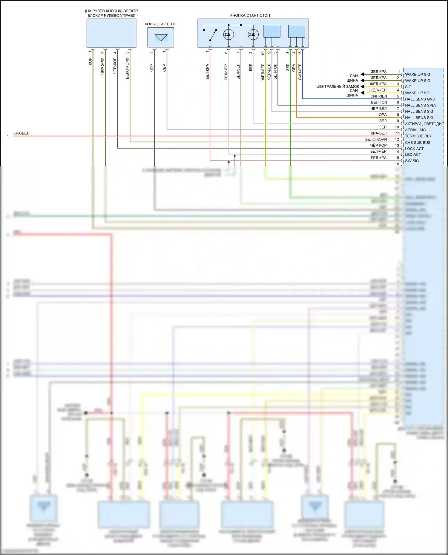 6 серия BMW F06/F13/F12 рестайлинг (2015-2018): Электросхема системы бесключевого доступа (2 из 2) 