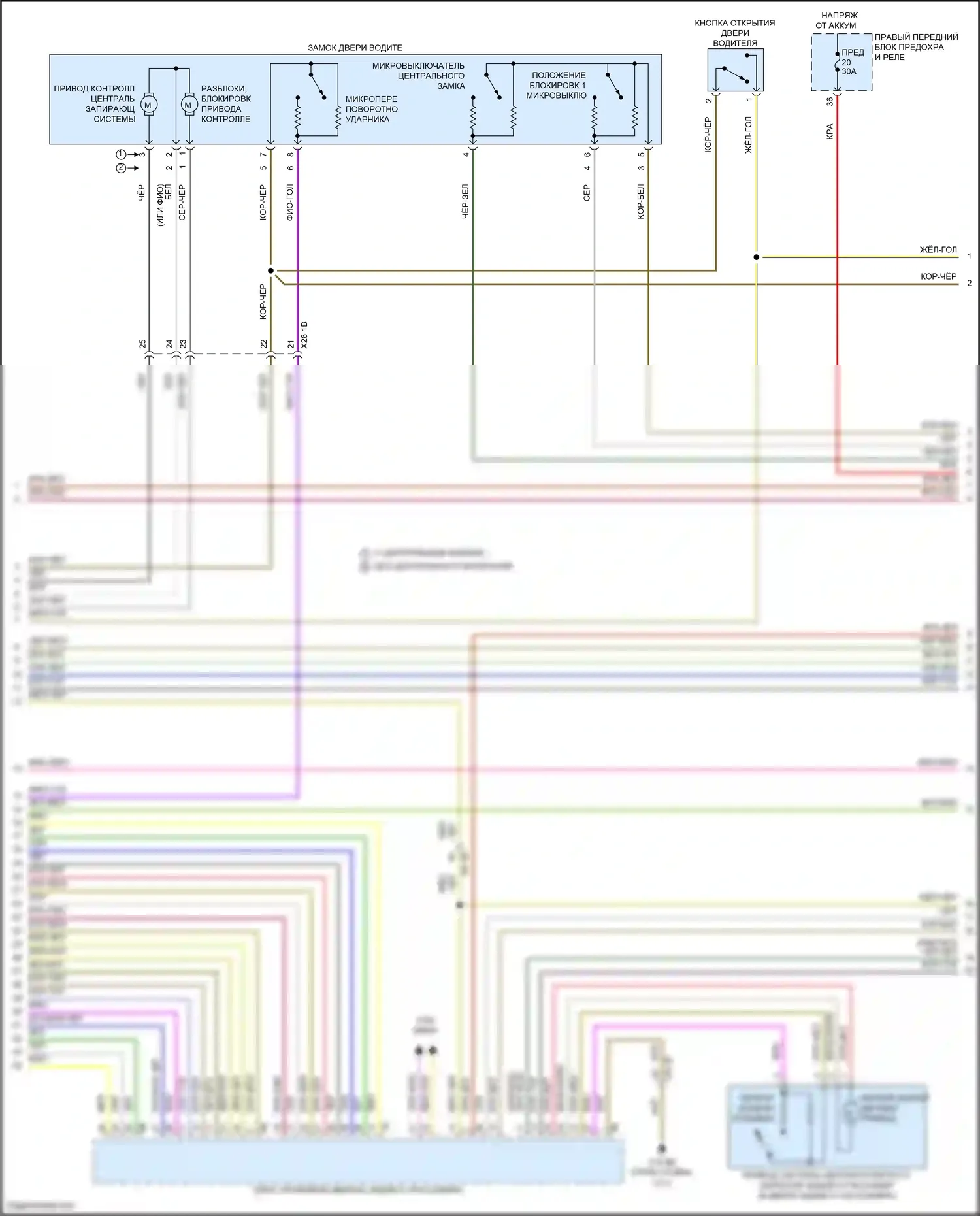 7 серия BMW G70 (2022-2024): Электросхема центрального замка (5 из 8) 