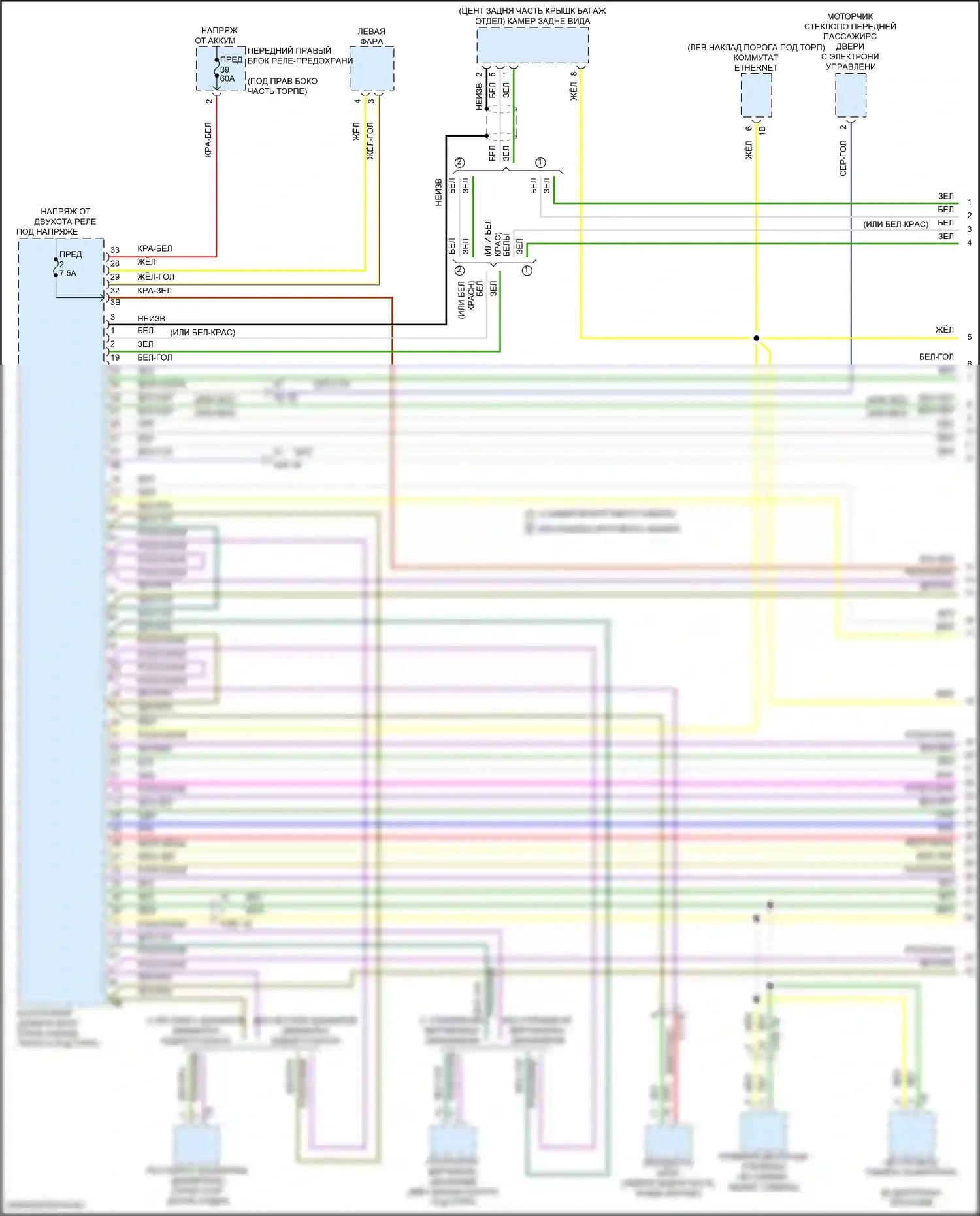 M2 BMW G87 (2022-2024): Can шина электросхема (1 из 7) 