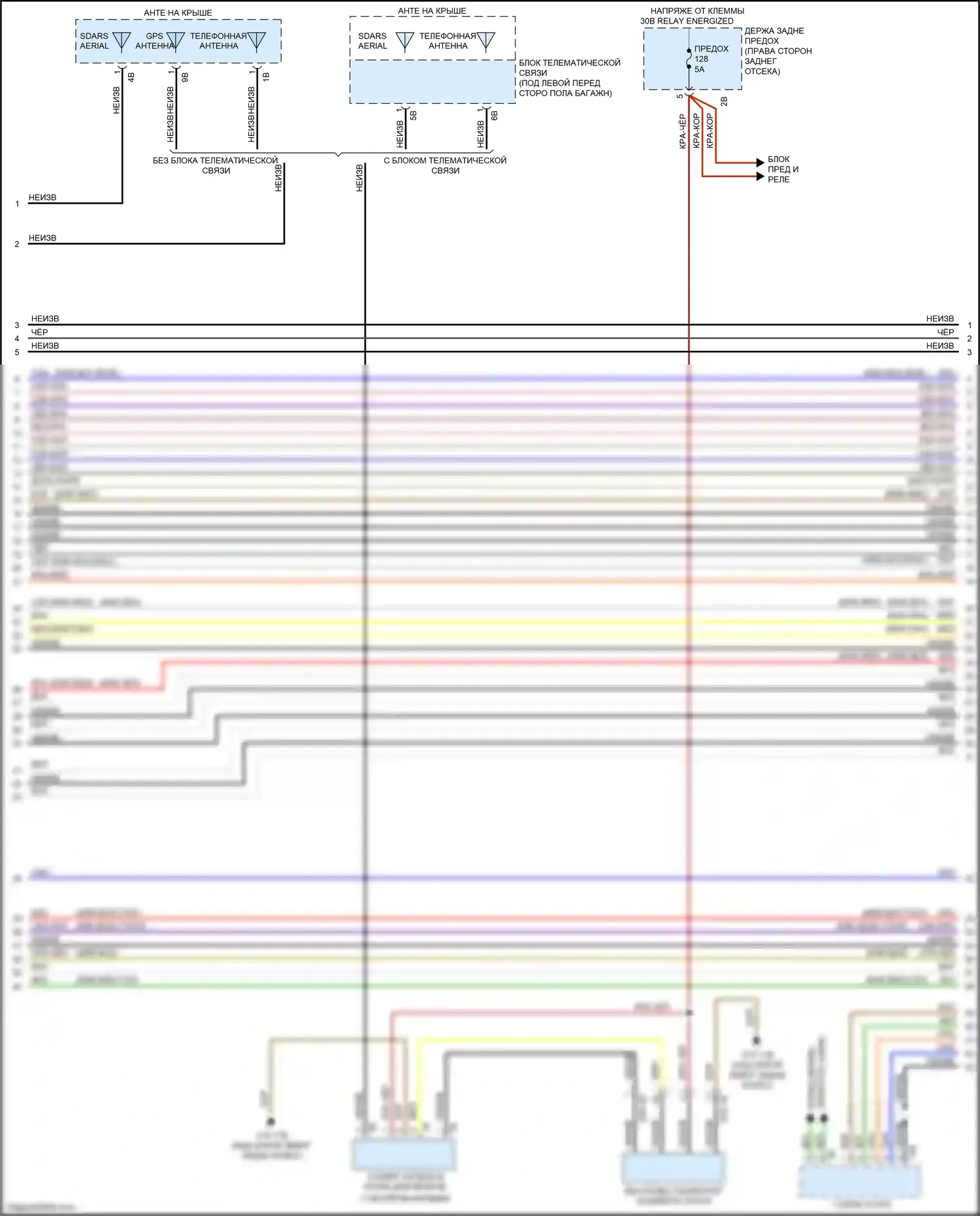 M3 BMW F80 (2014-2018): Hifi электросхема магнитолы, с активным звуковым оформлением (2 из 8) 