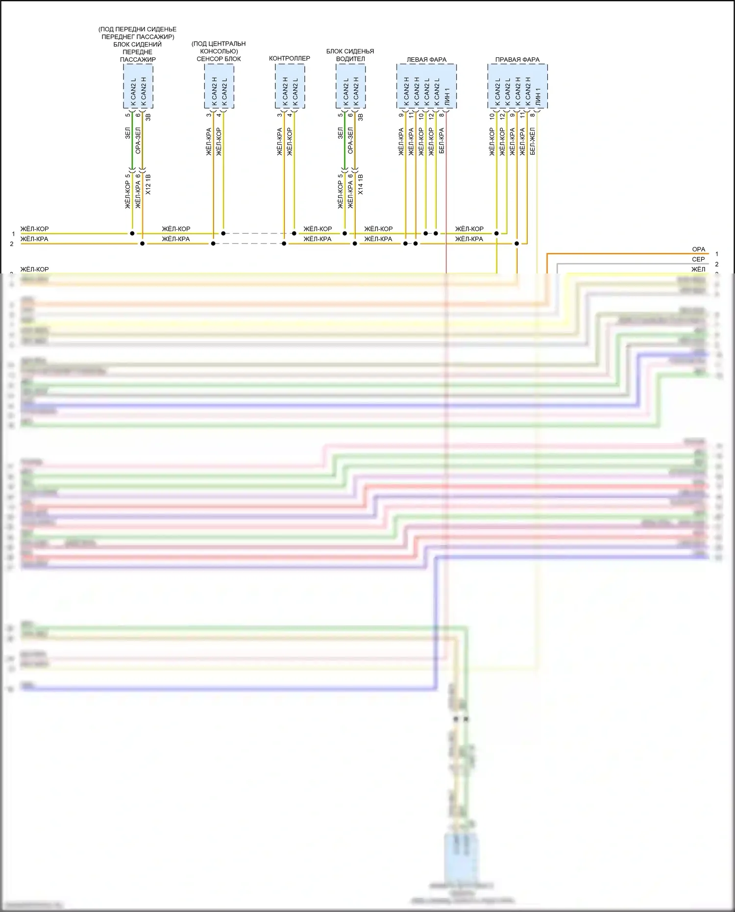 M4 BMW F82/F83 рестайлинг (2017-2020): Can шина электросхема (4 из 5) 
