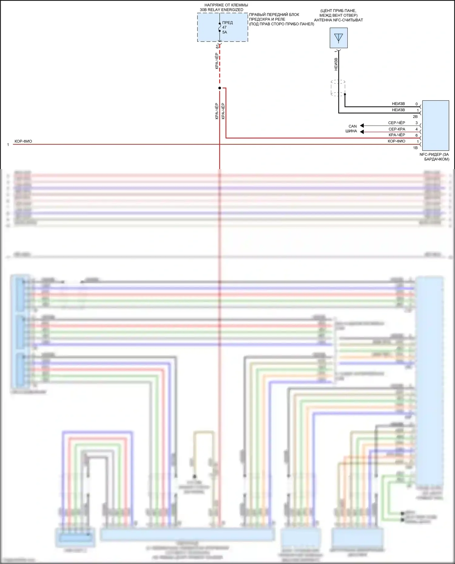 M5 BMW F90 рестайлинг (2020-2024): Hifi электросхема магнитолы, с активным звуковым оформлением (3 из 5) 