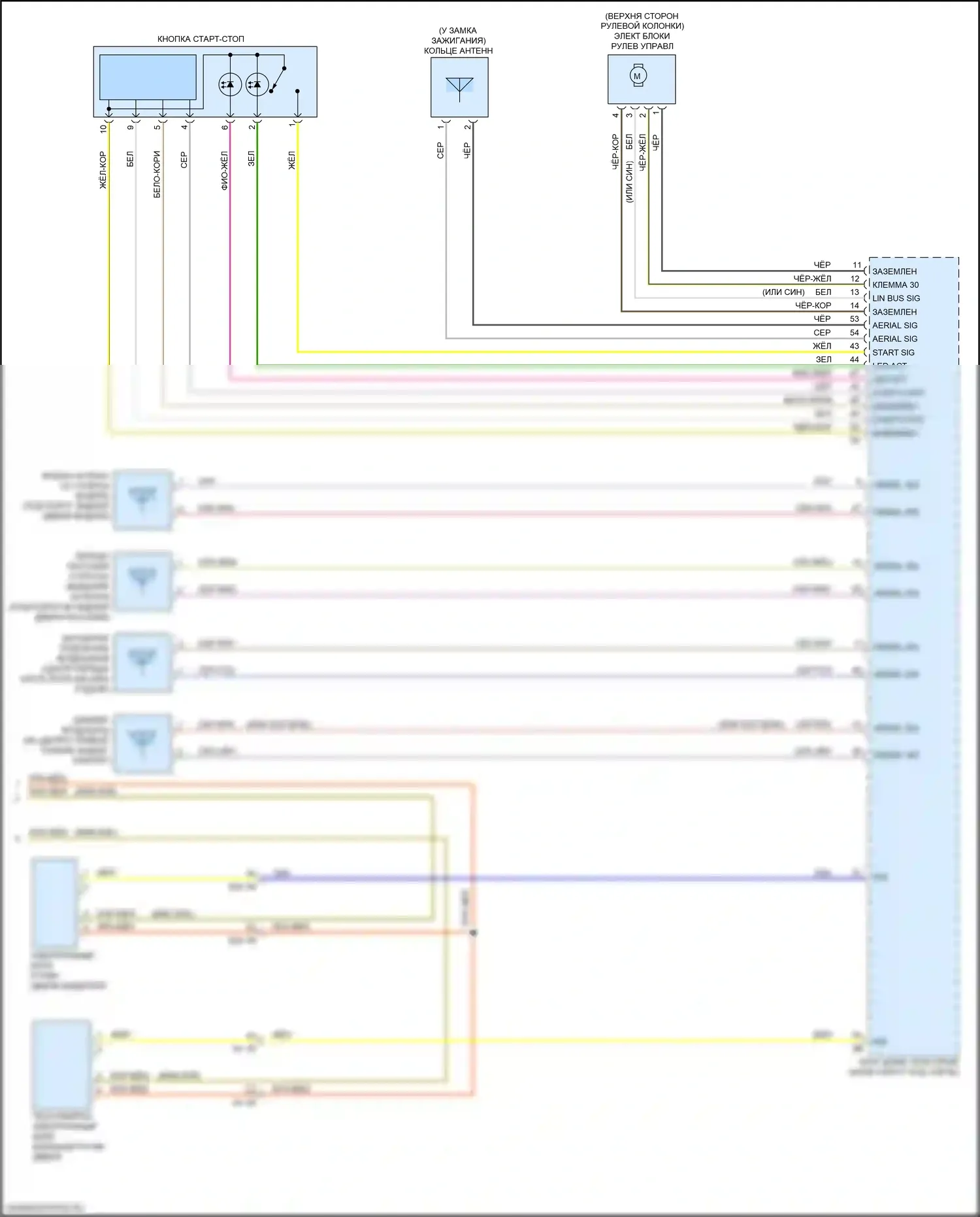 X1 BMW F48 (2015-2019): Электросхема системы бесключевого доступа (2 из 2) 