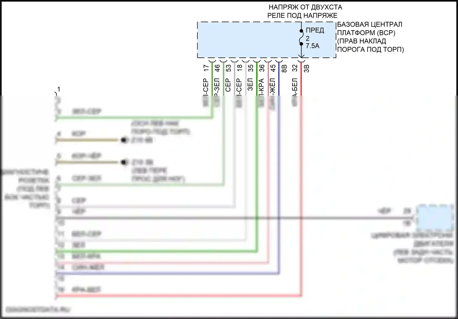 X1 BMW U11/U12 (2022-2024): Электросхема диагностического разхъема 