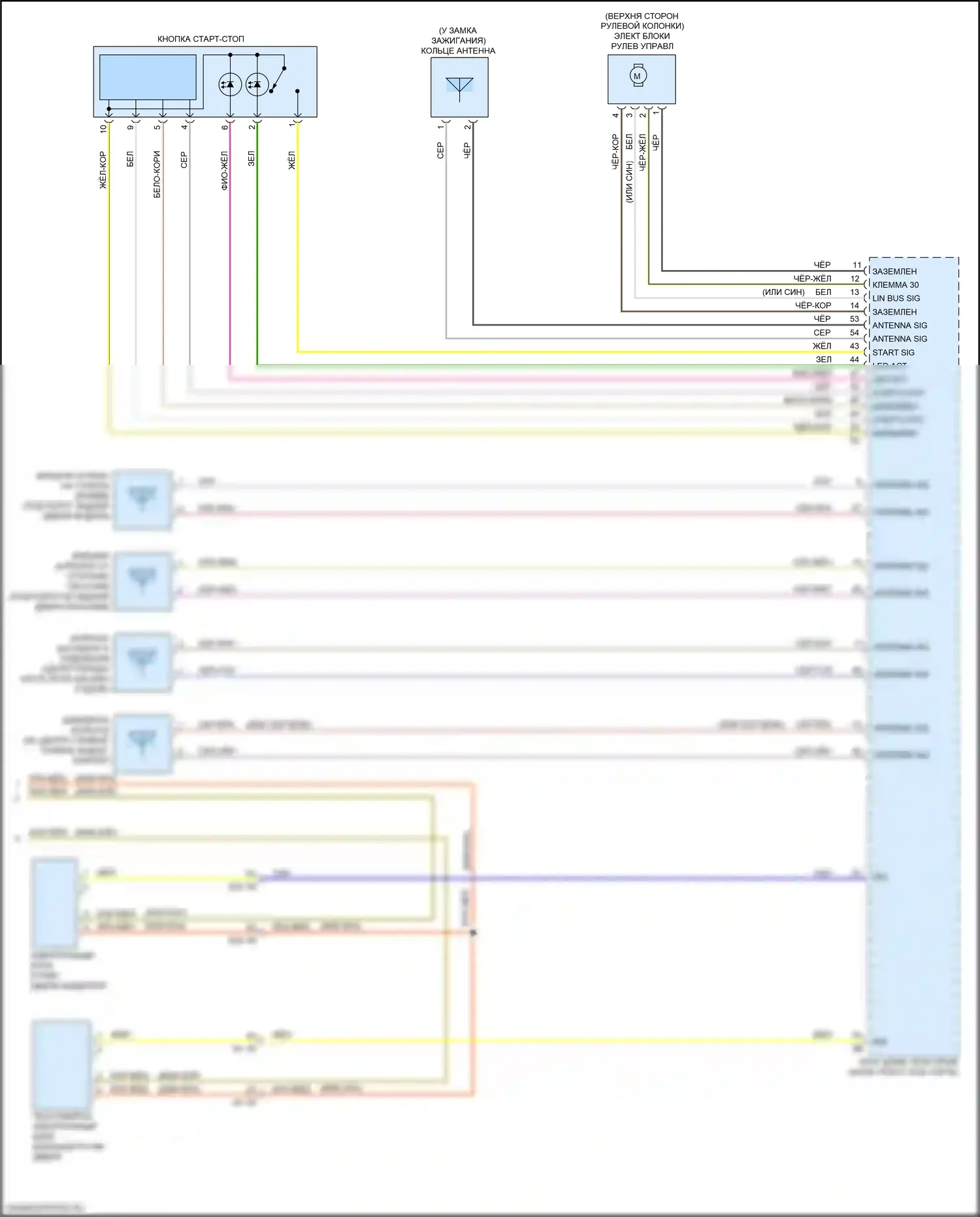 X2 BMW F39 (2017-2023): Электросхема системы бесключевого доступа (2 из 2) 