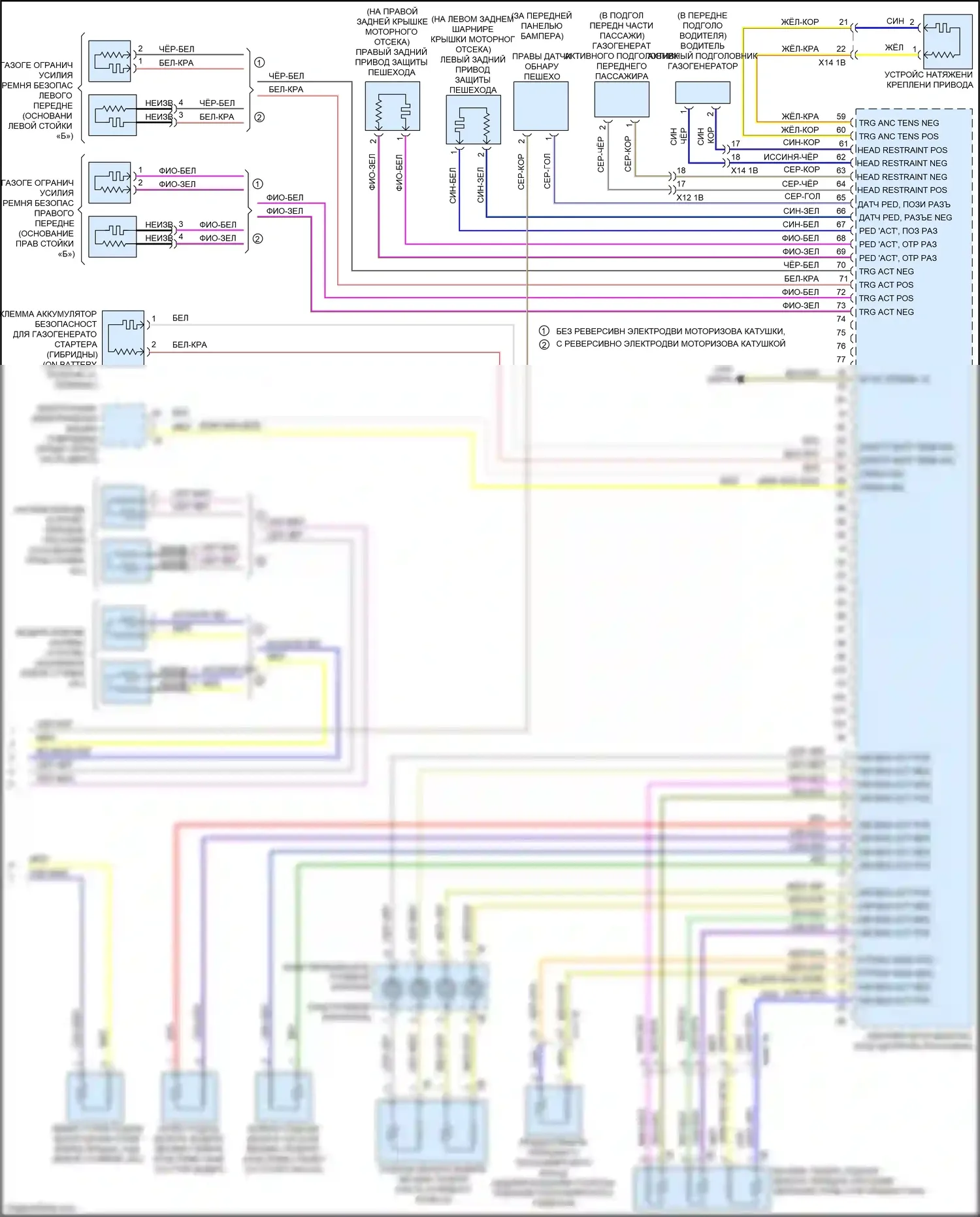 X5 M BMW F85 (2014-2018): Электросхема подушек безопасности (3 из 3) 