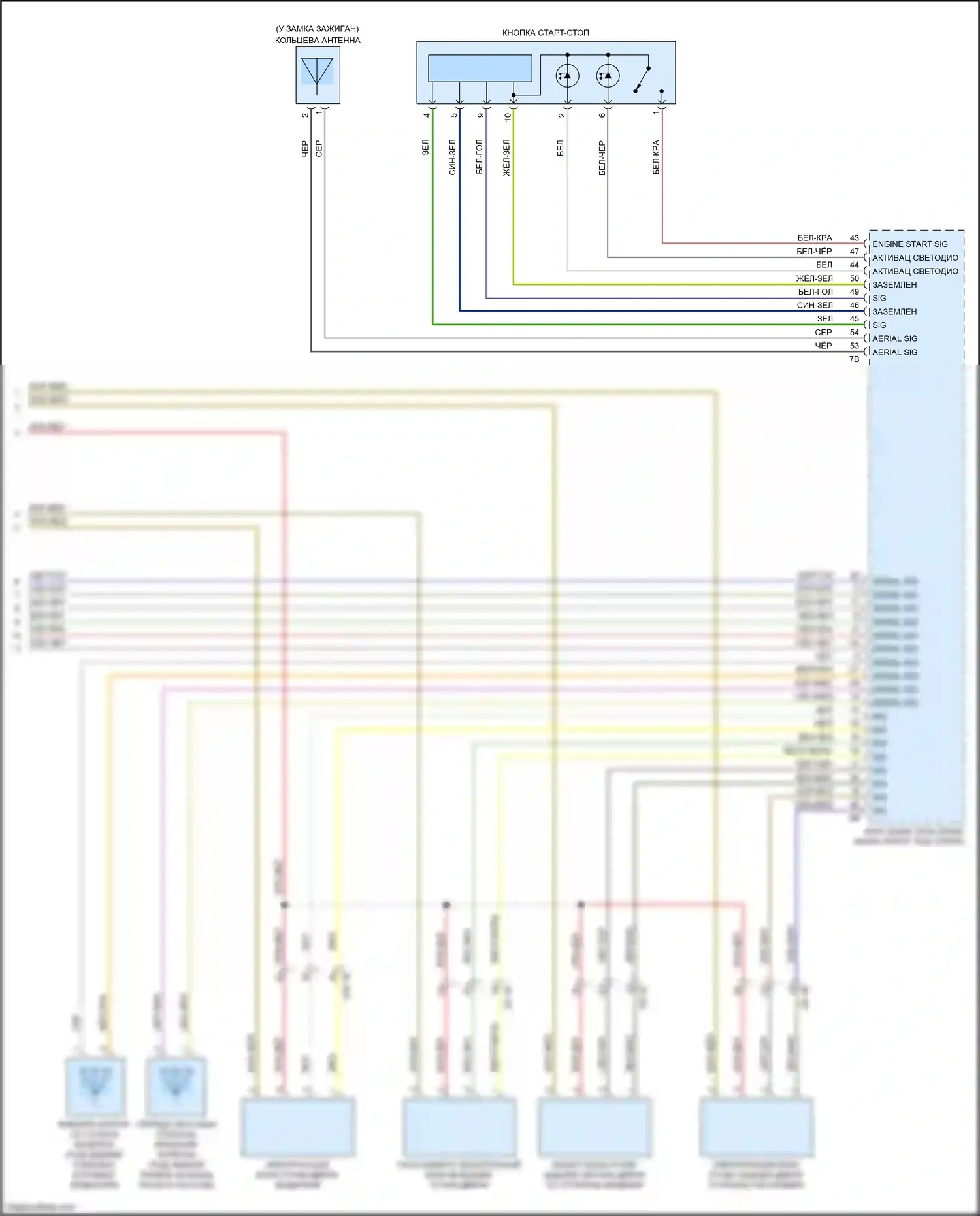 X5 M BMW F85 (2014-2018): Электросхема системы бесключевого доступа (2 из 2) 