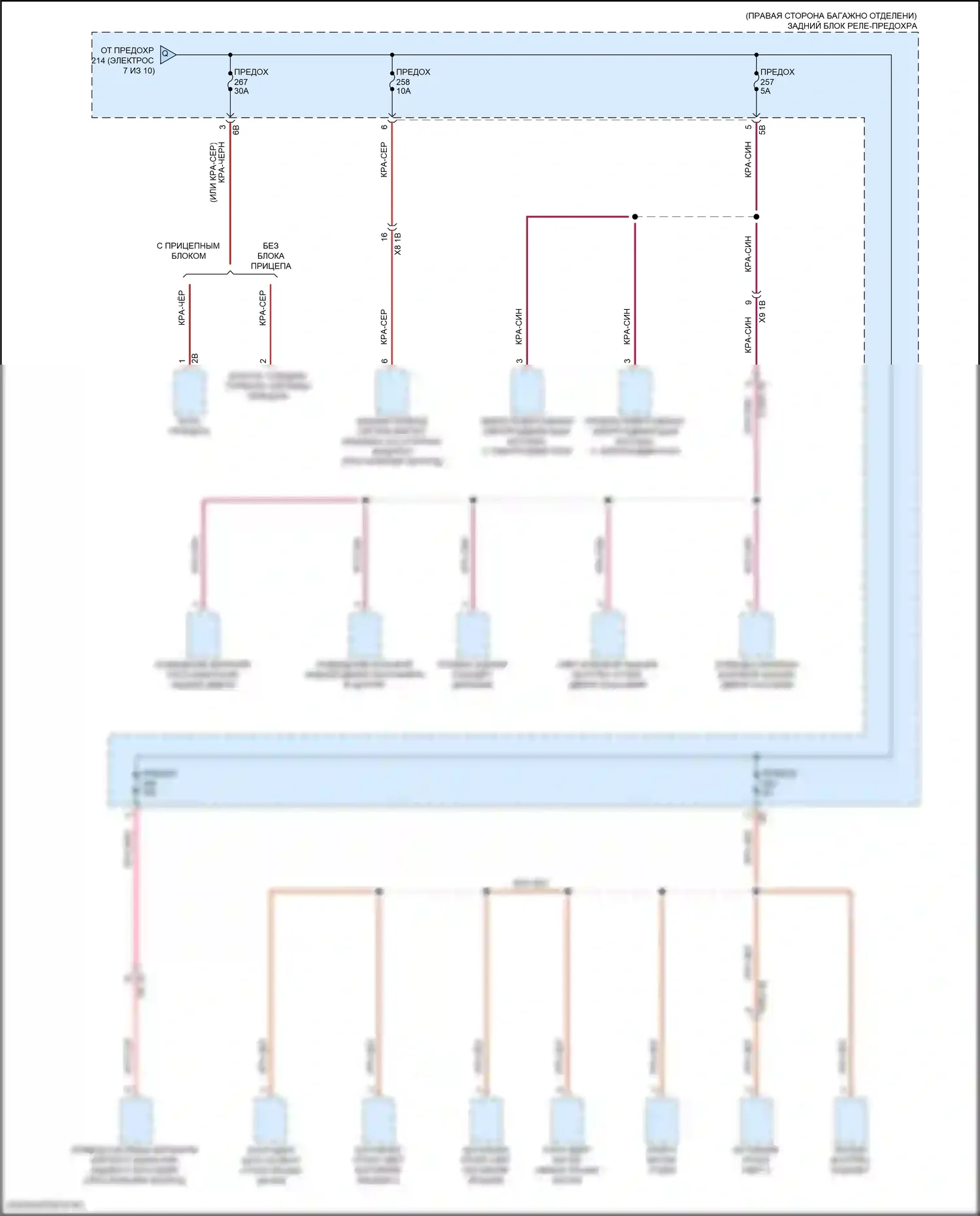 X5 M BMW F95 рестайлинг (2023-2024): Электросхема блока предохранителей реле (9 из 10) 