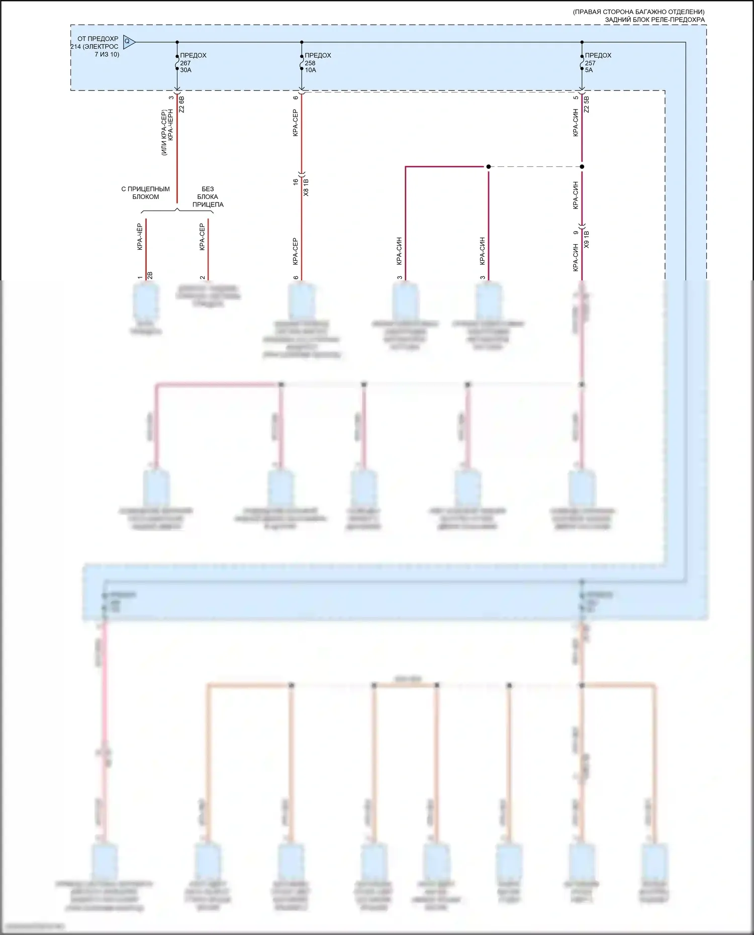 X5 M BMW F95 (2019-2023): Электросхема блока предохранителей реле (9 из 10) 