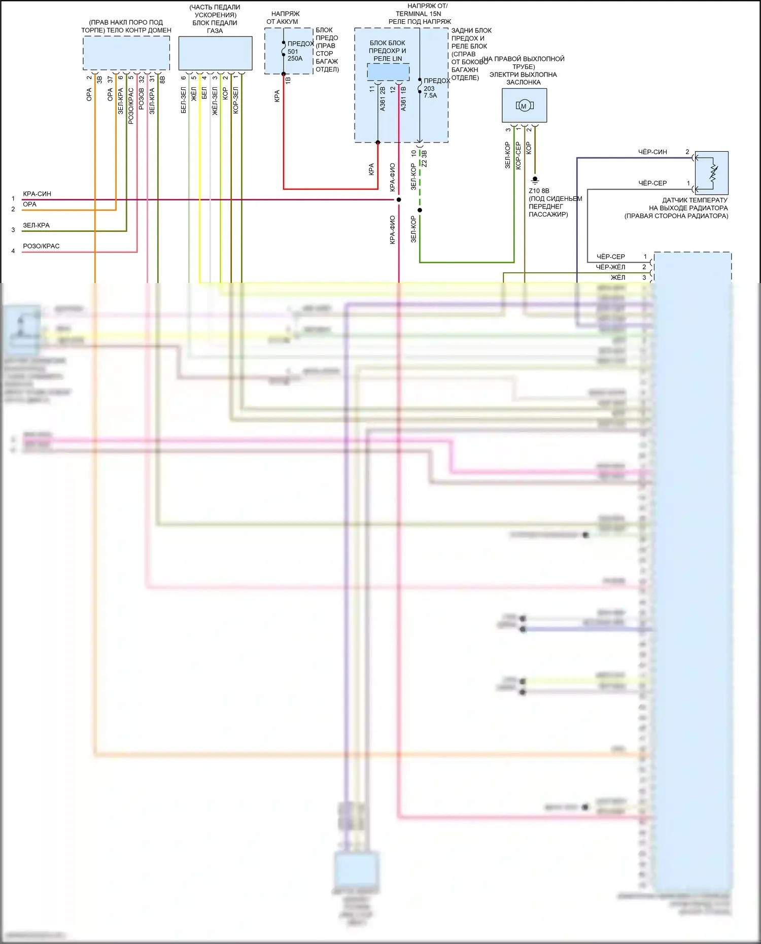X5 M BMW F95 (2019-2023): Электросхема двигателя 4,4л турбо (11 из 11) 