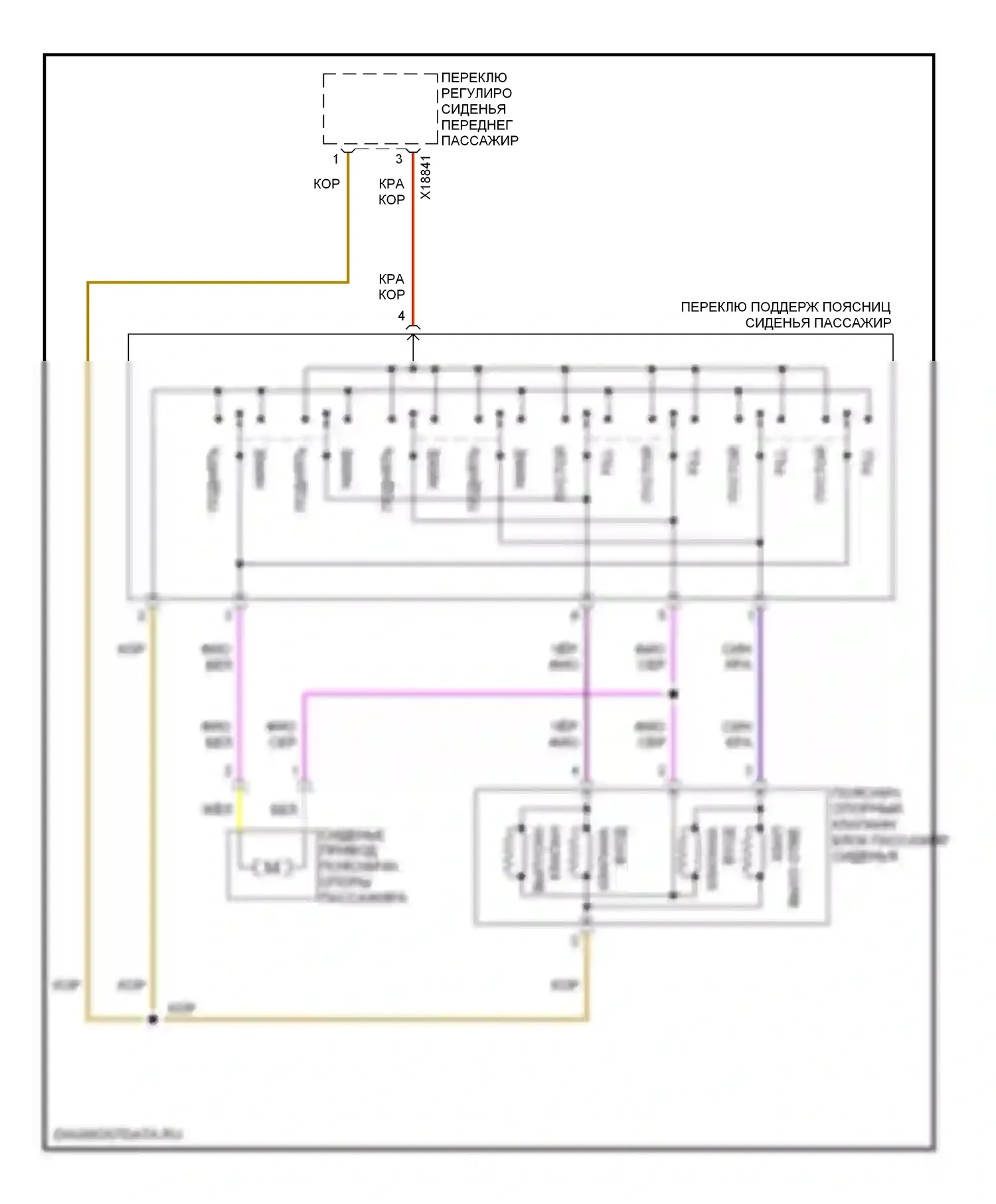 X5 BMW E53 рестайлинг (2003-2007): Поясничная электросхема пассажира 