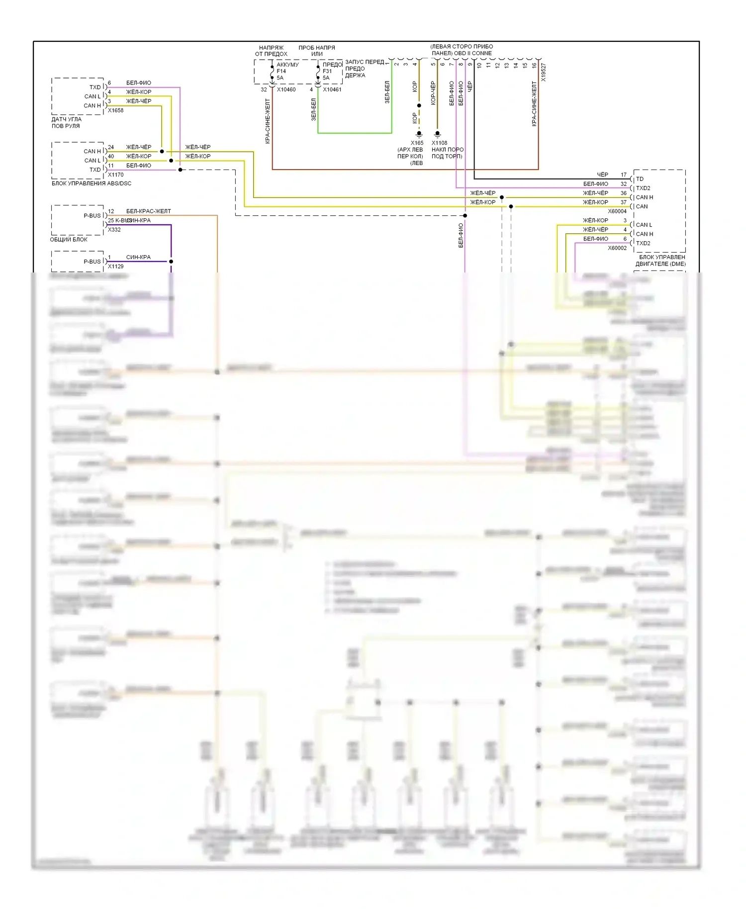 X5 BMW E53 (1999-2003): Can шина электросхема 