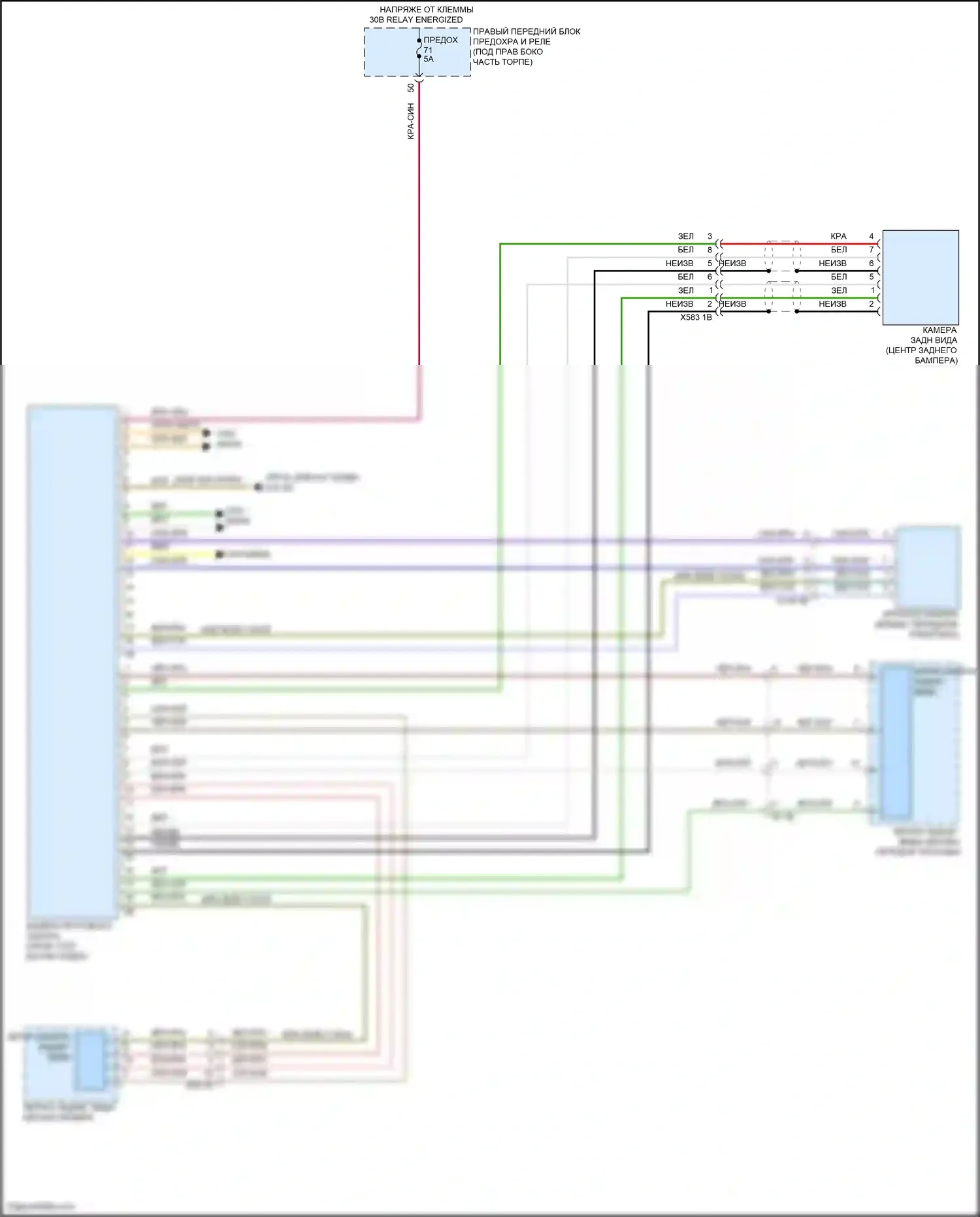X6 M BMW F96 рестайлинг (2023-2024): Электросхема камеры кругового обзора 