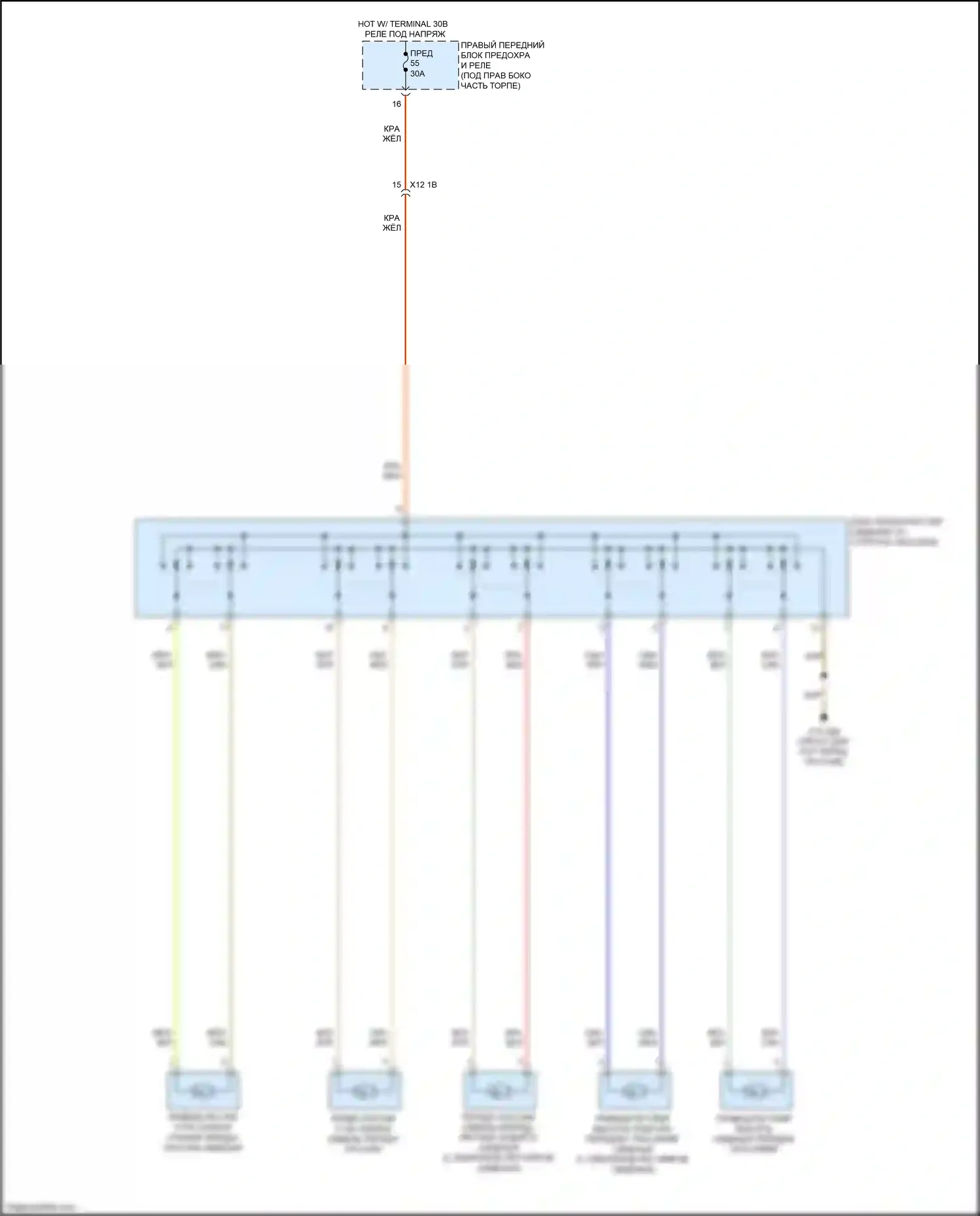 X6 M BMW F96 (2019-2023): Электросхема сиденья питания для пассажиров 