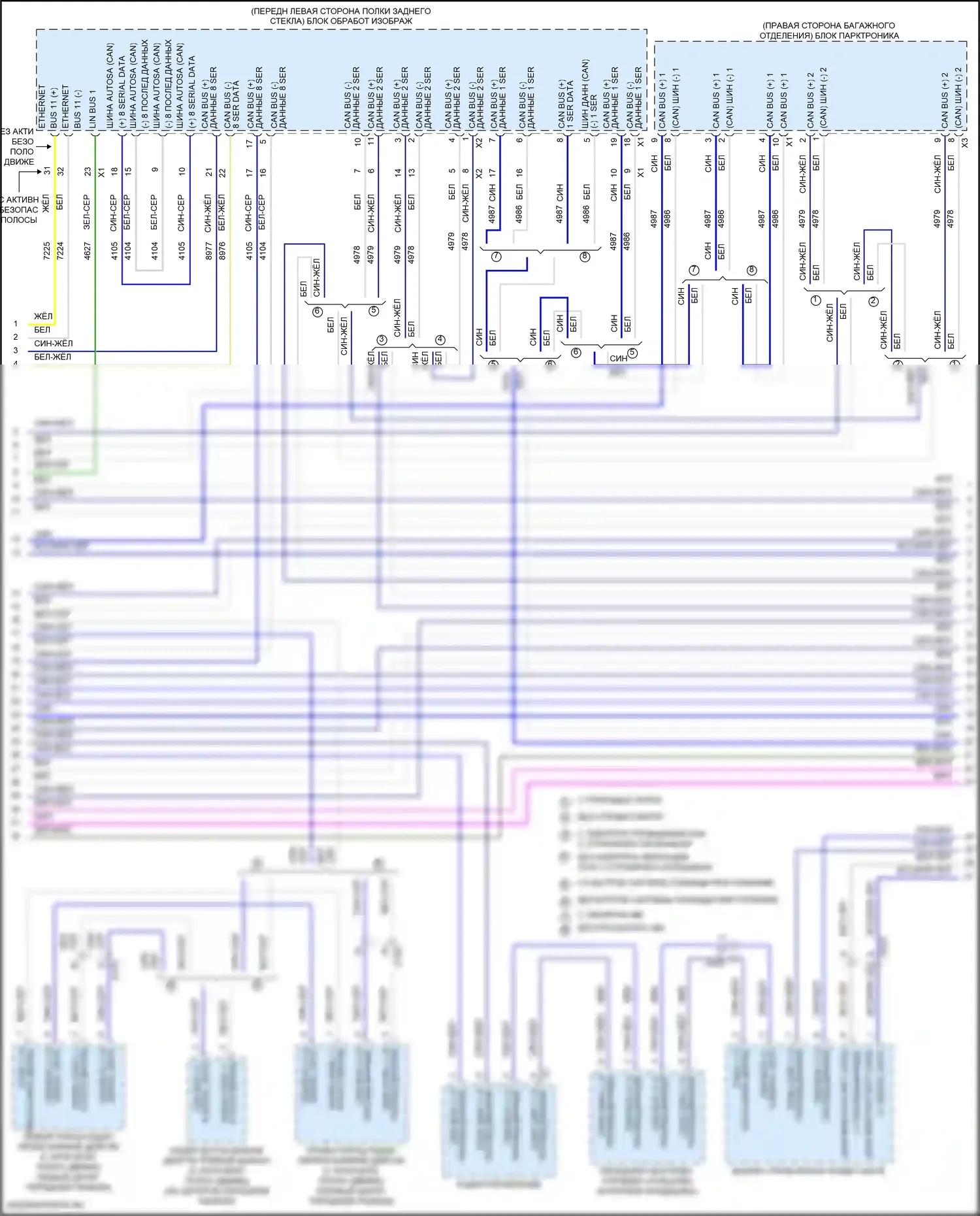CT5-V Cadillac I (2019-2024): Can шина электросхема (6 из 10) 
